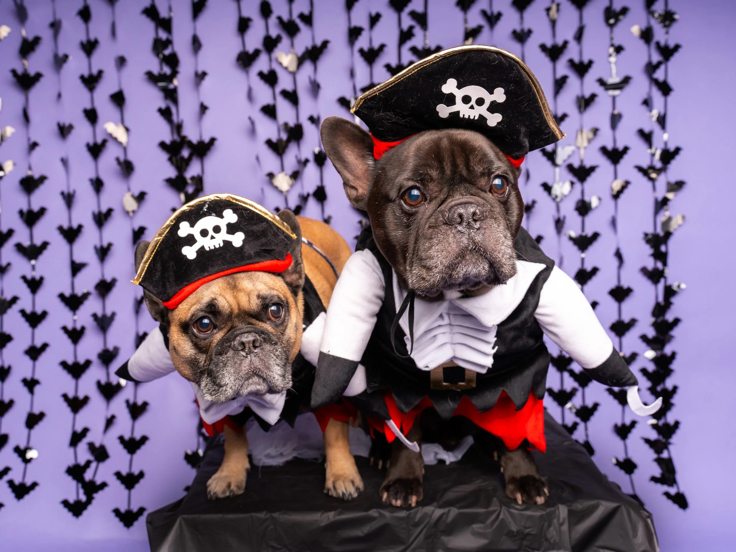 Howl-O-Weenie Booth-39.jpg