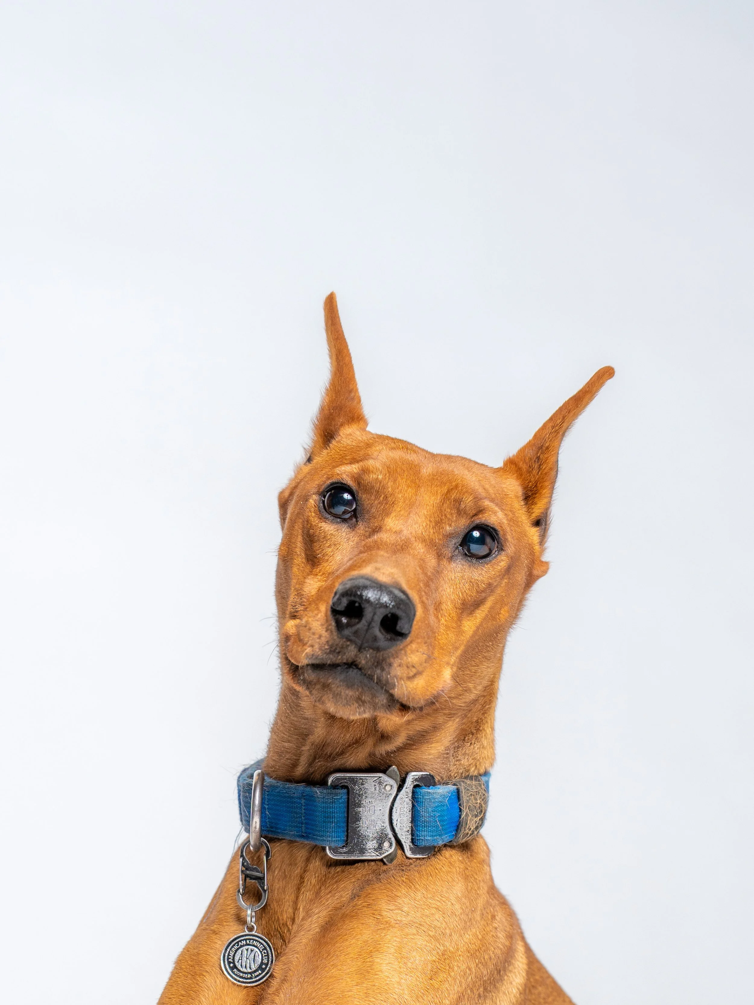 Raiden, Max, Crosby-05.jpg