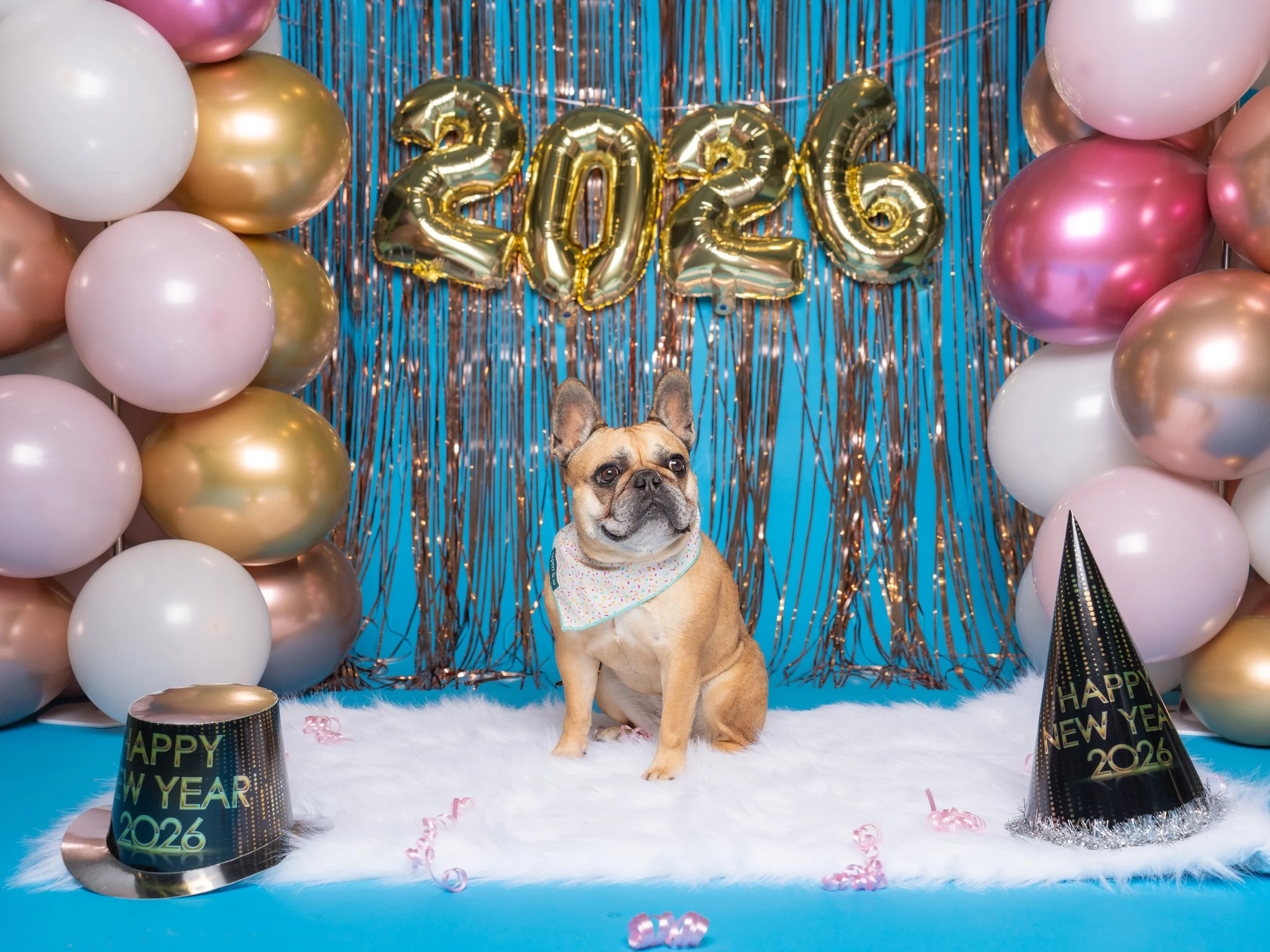 NYE Salty Paws-02.jpg