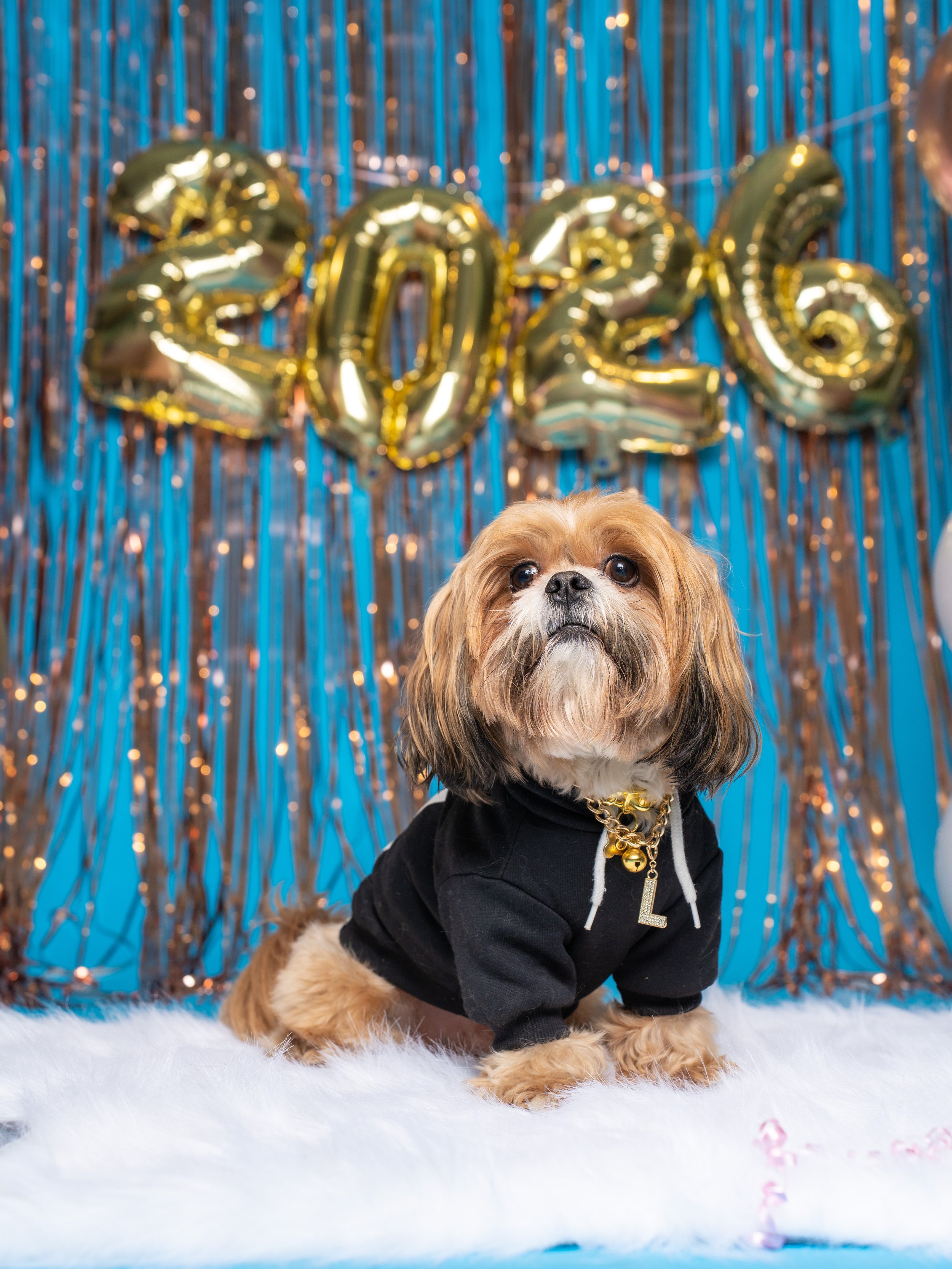NYE Salty Paws-65.jpg
