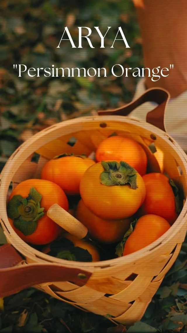 Introducing our first Polo Color for Fall 2025: "Persimmon Orange"
Like its namesake fruit, the Persimmon Orange color symbolizes abundance in autumn harvest. Its vibrant tone encourages a sense of adventure and freedom - so don't be afrai