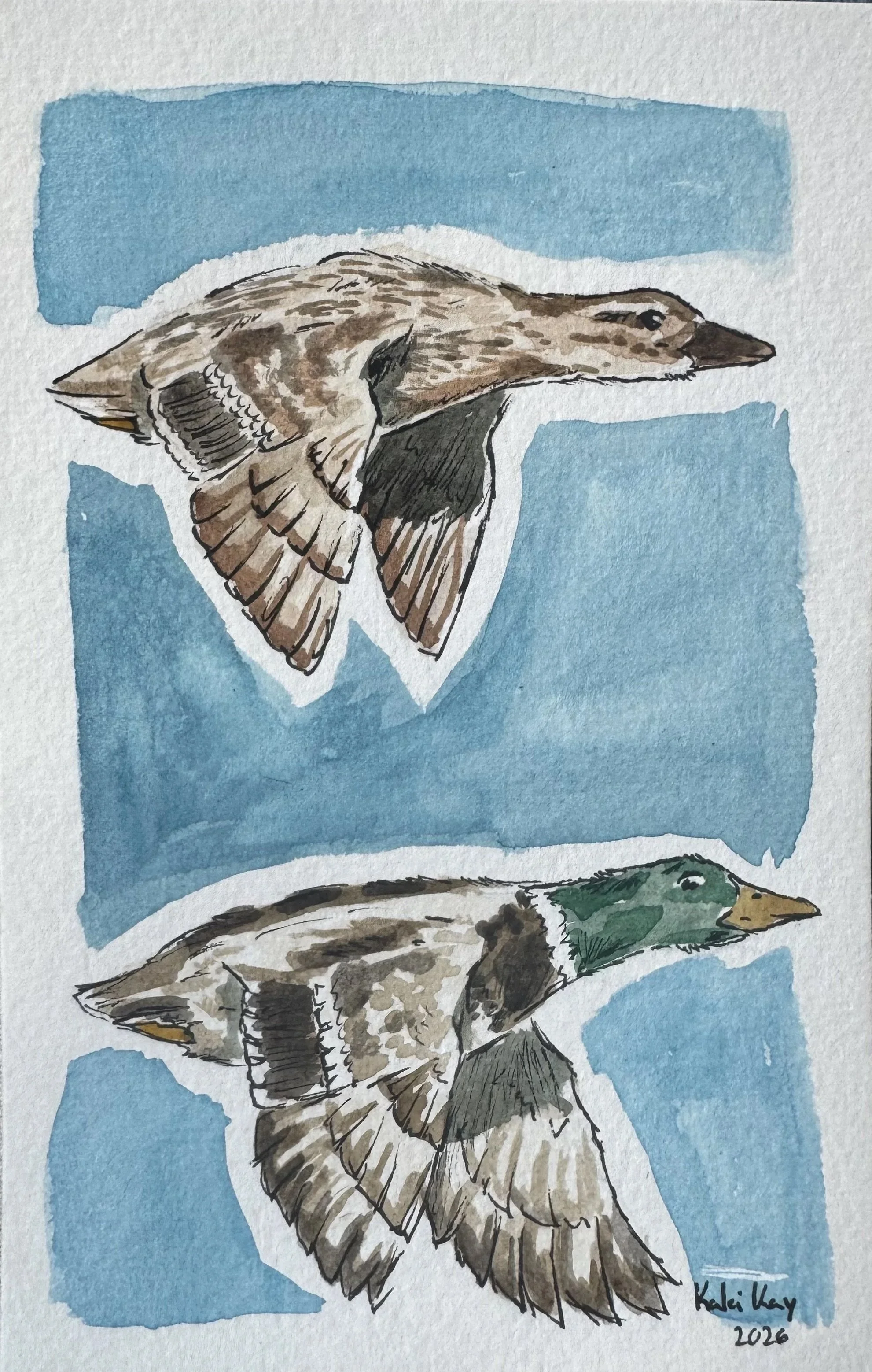 Watercolor and ink on paper, 2026