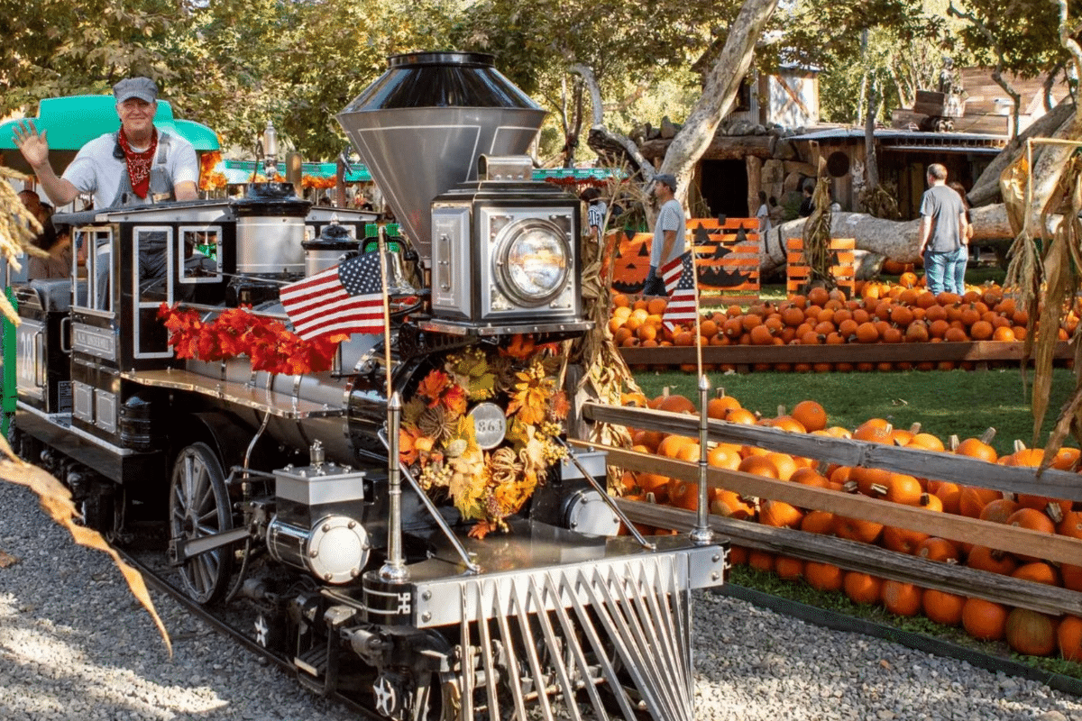 Irvine Park Railroad’s Pumpkin Patch 🎃