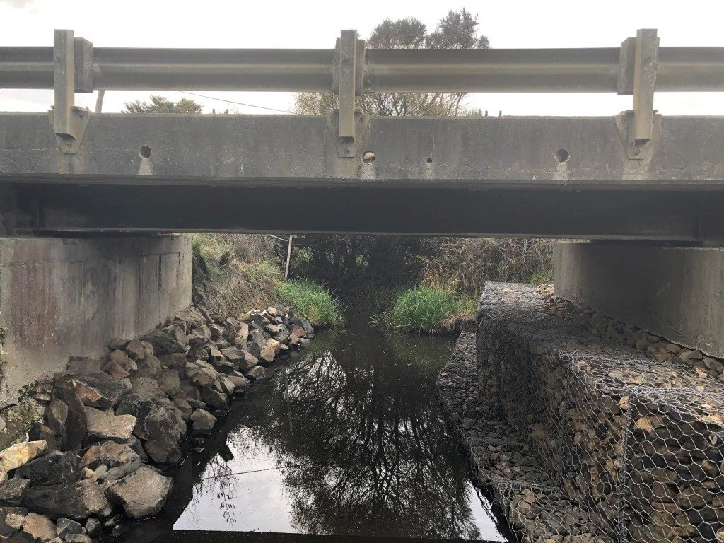 2_Bridge1.jpg.jpeg