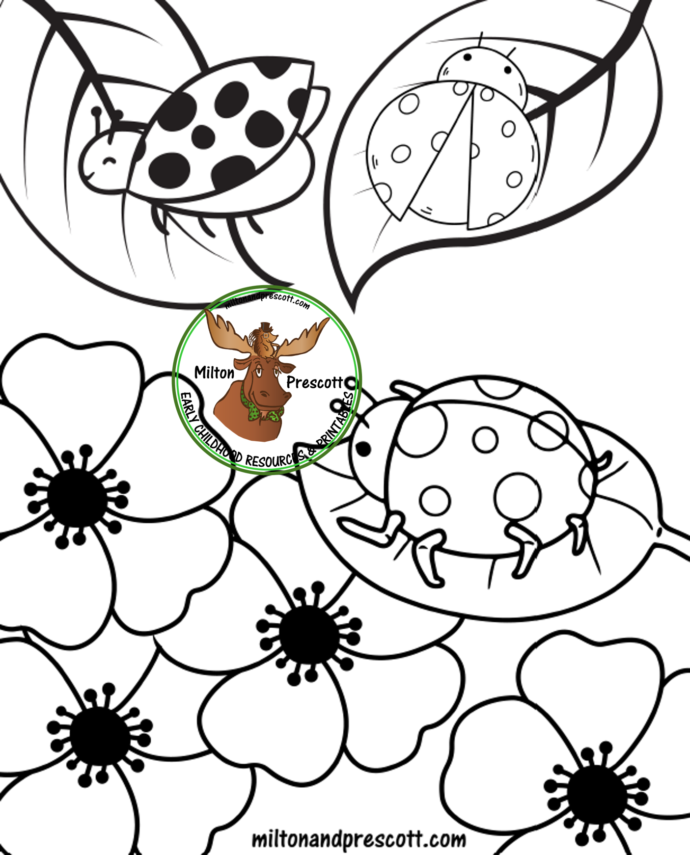 pg3.png