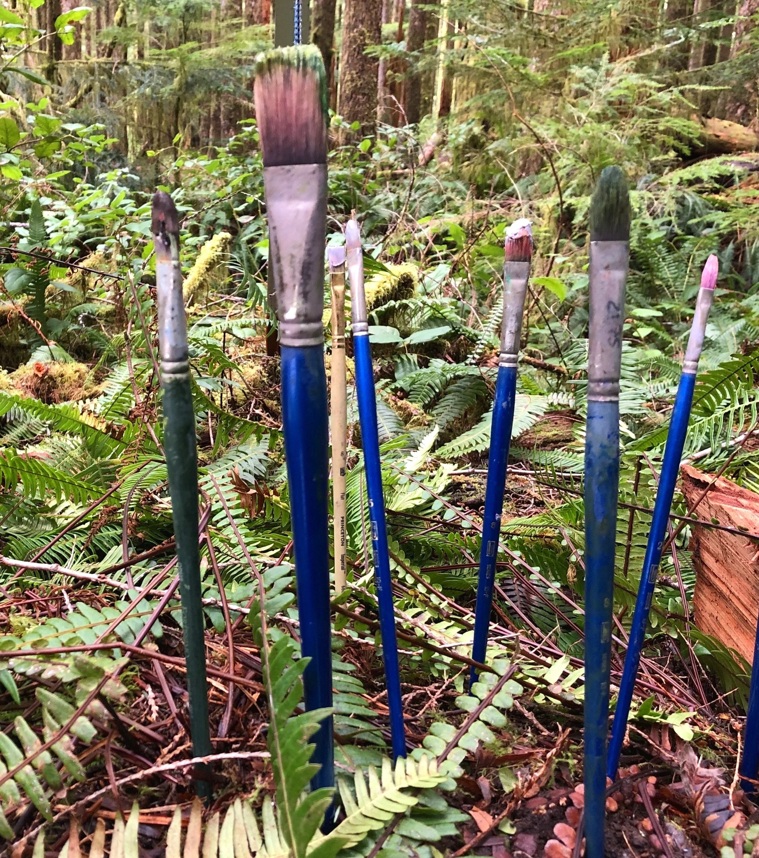 Brush+Keeper+in+the+forest.jpg