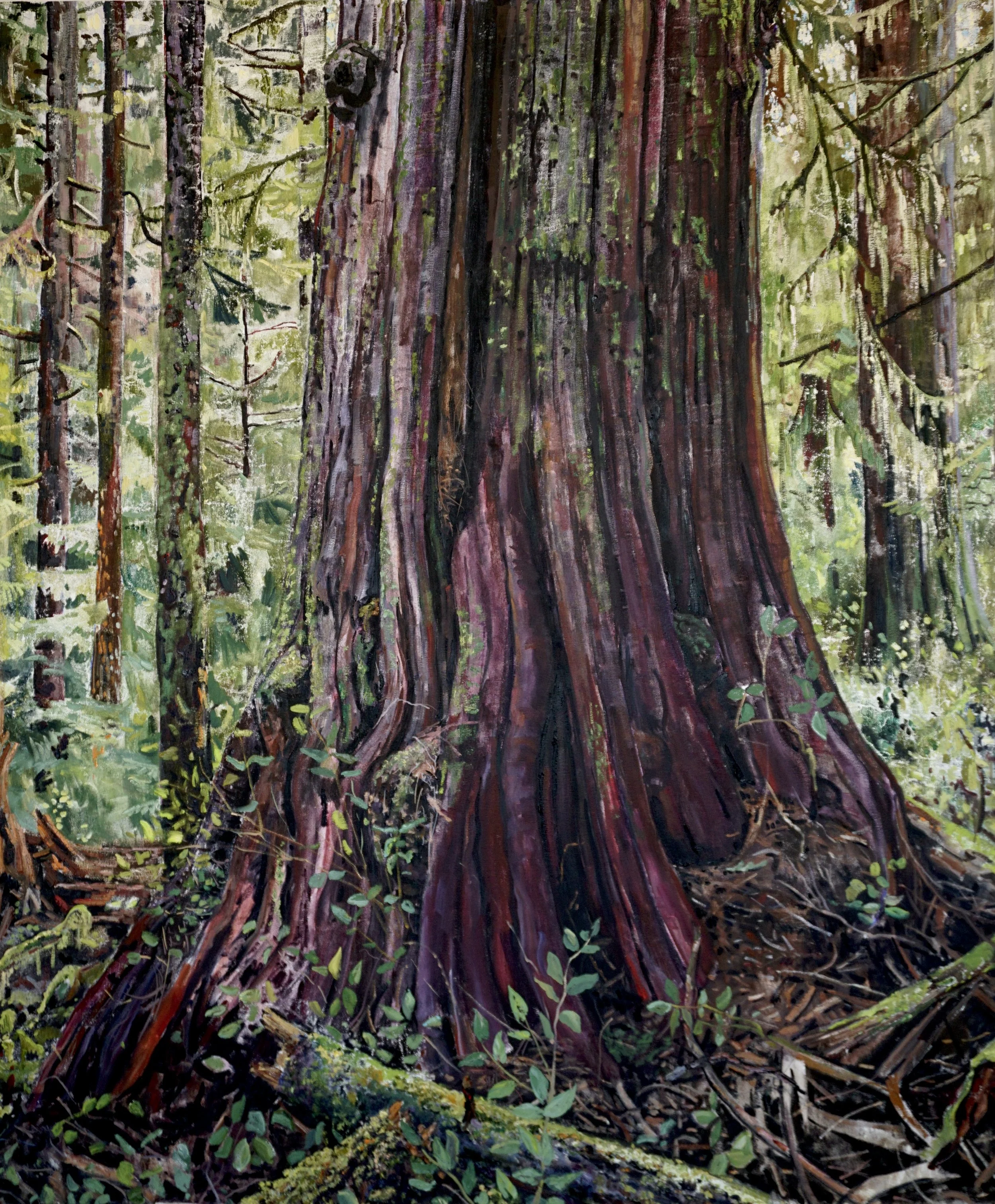 The Black Cedar
72x60 inches.
Oil on canvas.
Private collection.