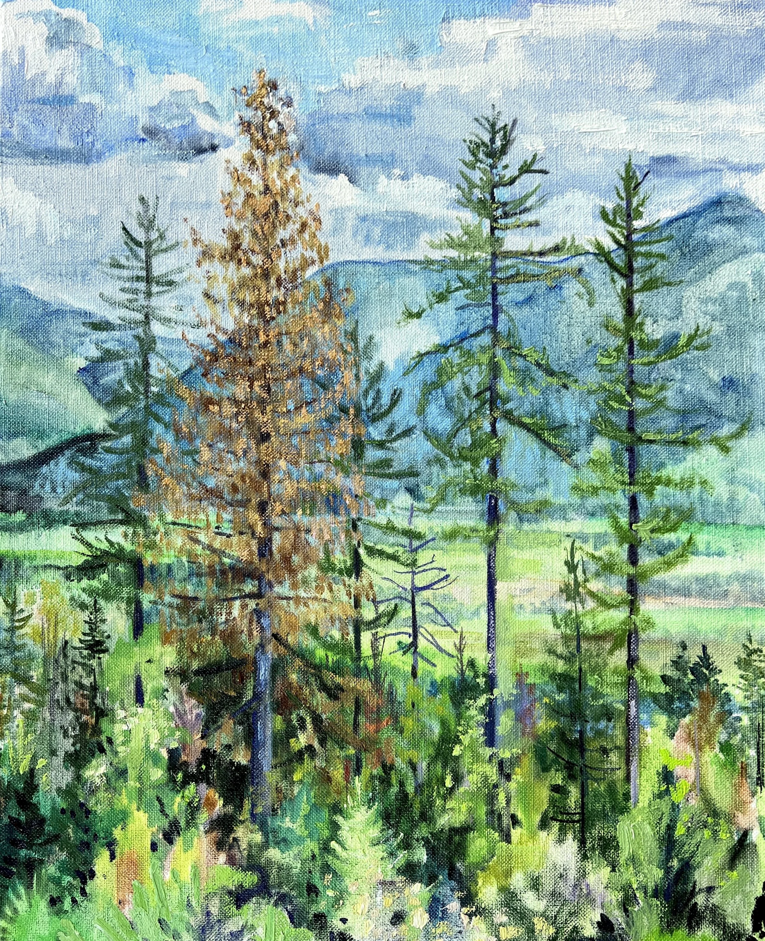 Parched Cedar
22x20 inches. 2023
Private collection.