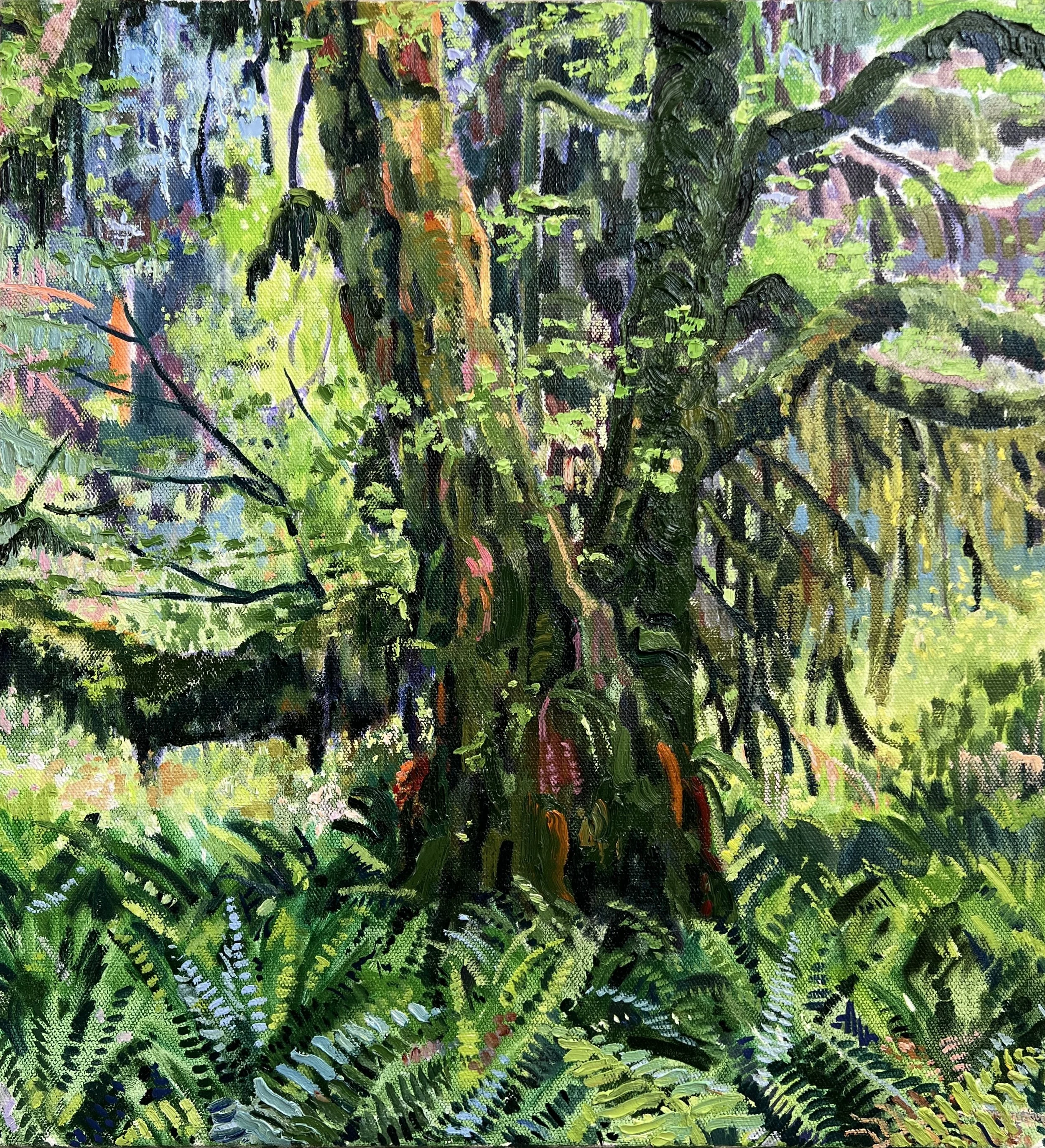 Mossum Grove Maple
Oil on linen
24x22 inches
Private collection