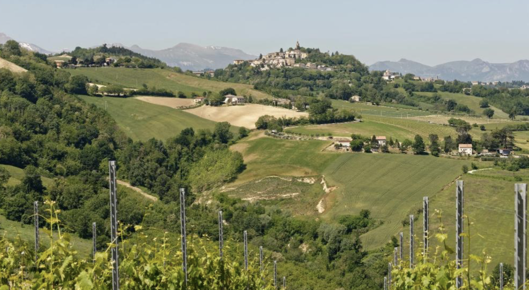 Screenshot 2025-11-13 at 12.21.31 AM.png