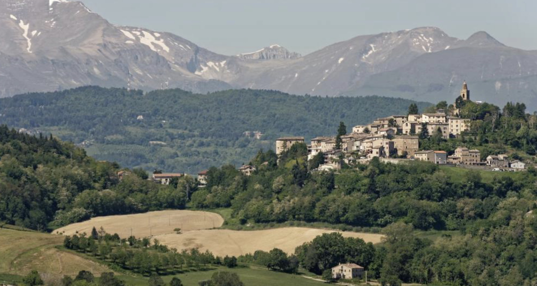 Screenshot 2025-11-13 at 12.21.21 AM.png