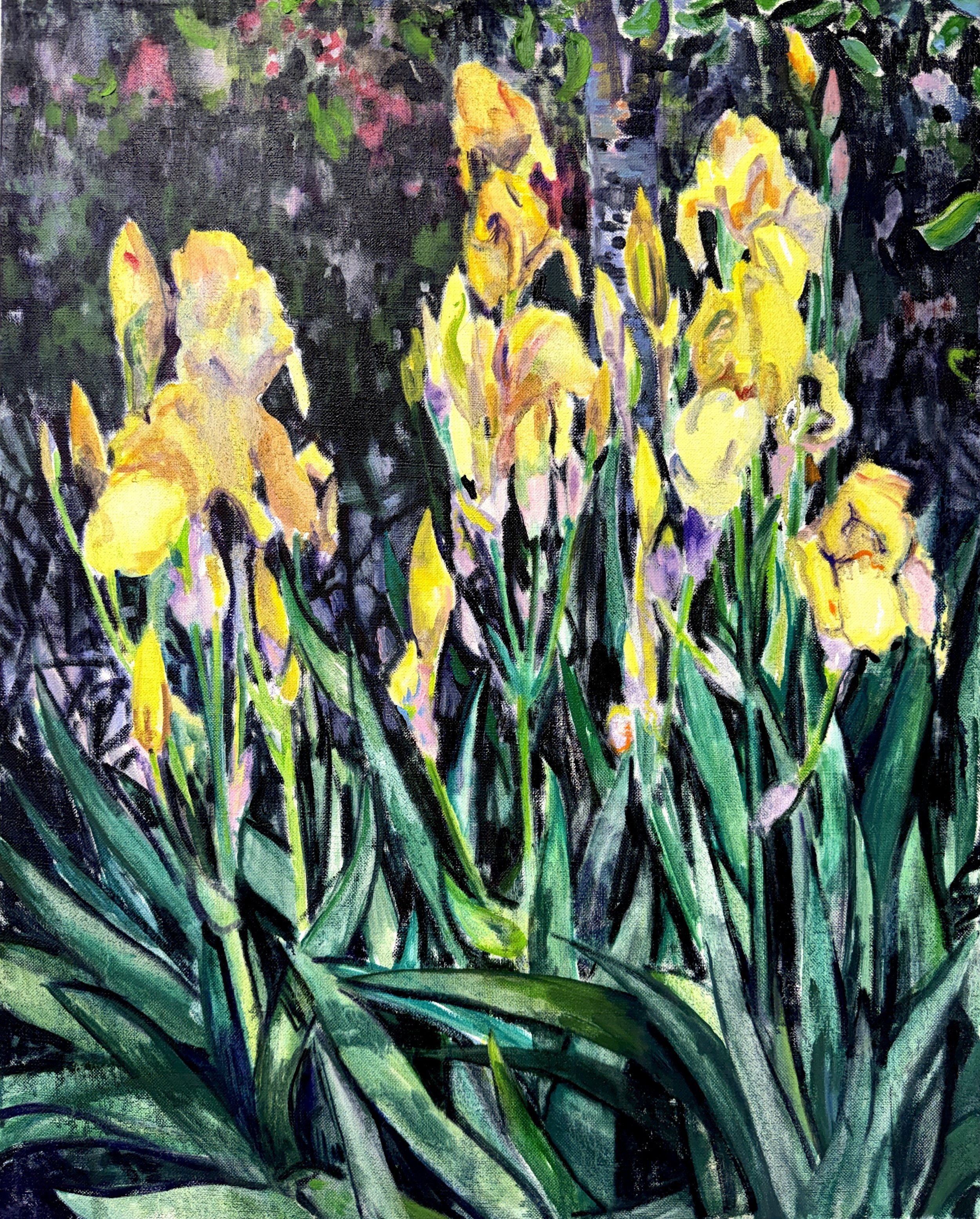 Yellow Night Irises.
Oil on linen.
30x24 inches. 2026.
$4,200