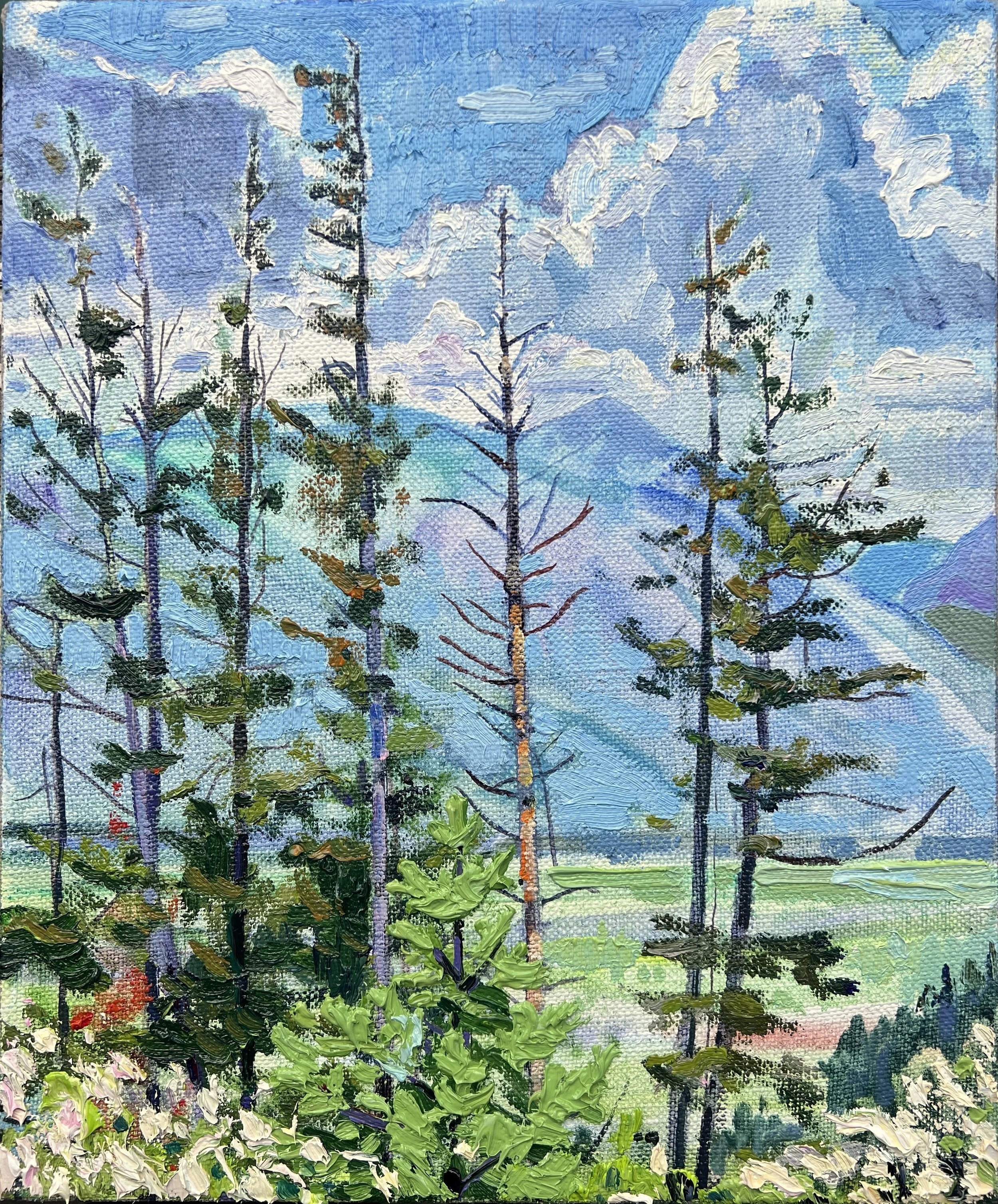 Morning View.
Oil on linen.
12x10 inches. 2023
$1,000