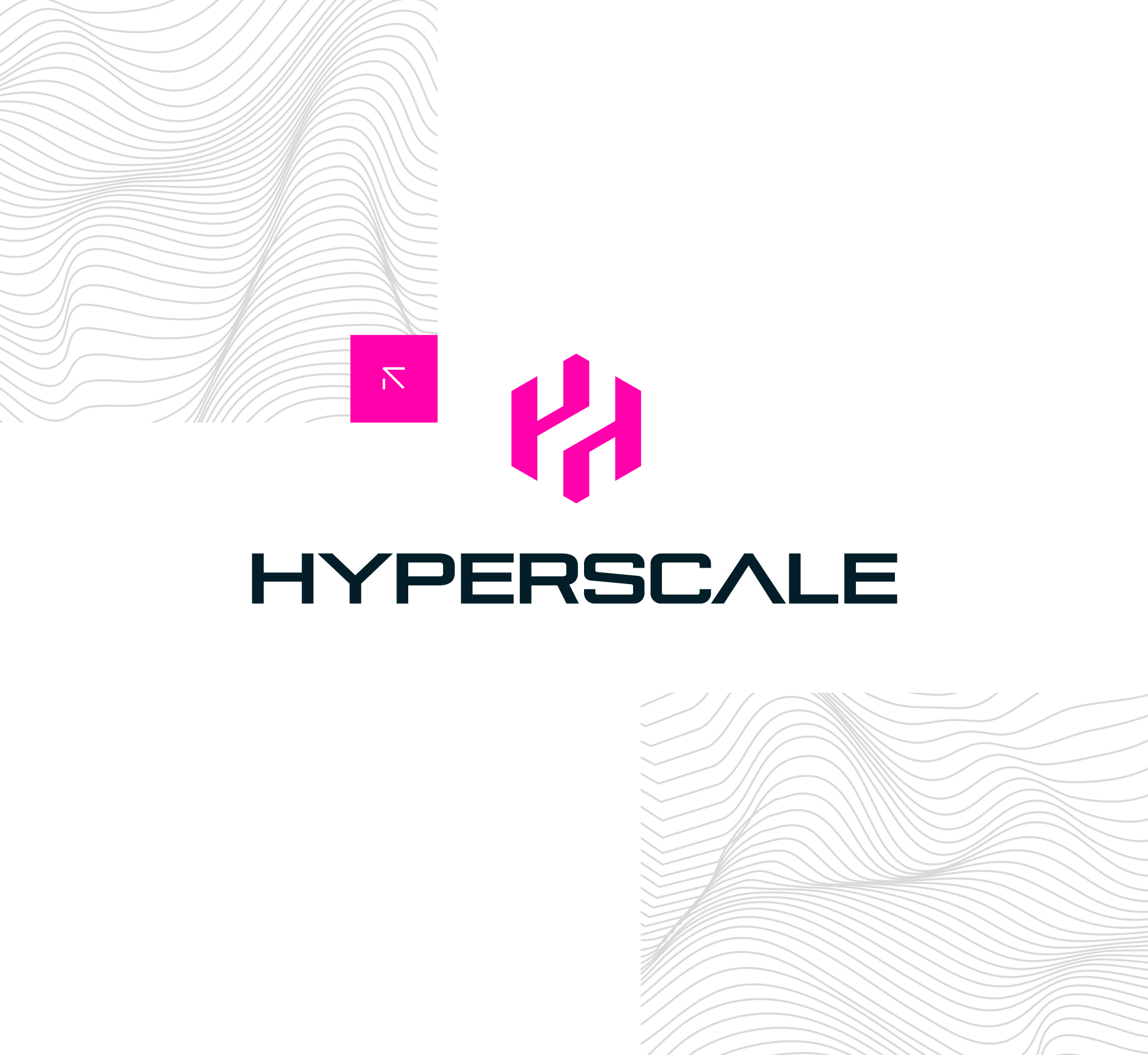 Hyperscale logo with a pink geometric design and the word 'HYPERSCALE' in black capital letters, set against a white background with abstract gray contour lines.