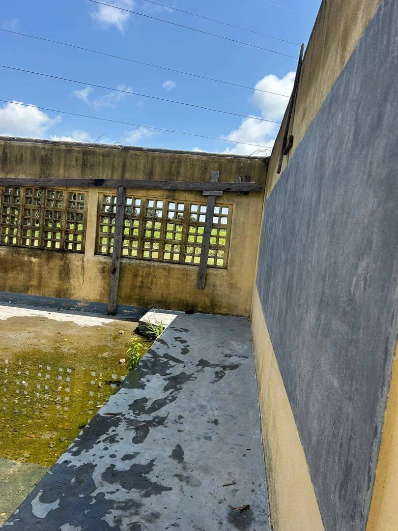 Weathered rooftop terrace with moss-covered concrete, grid-patterned walls, and a bright blue sky
