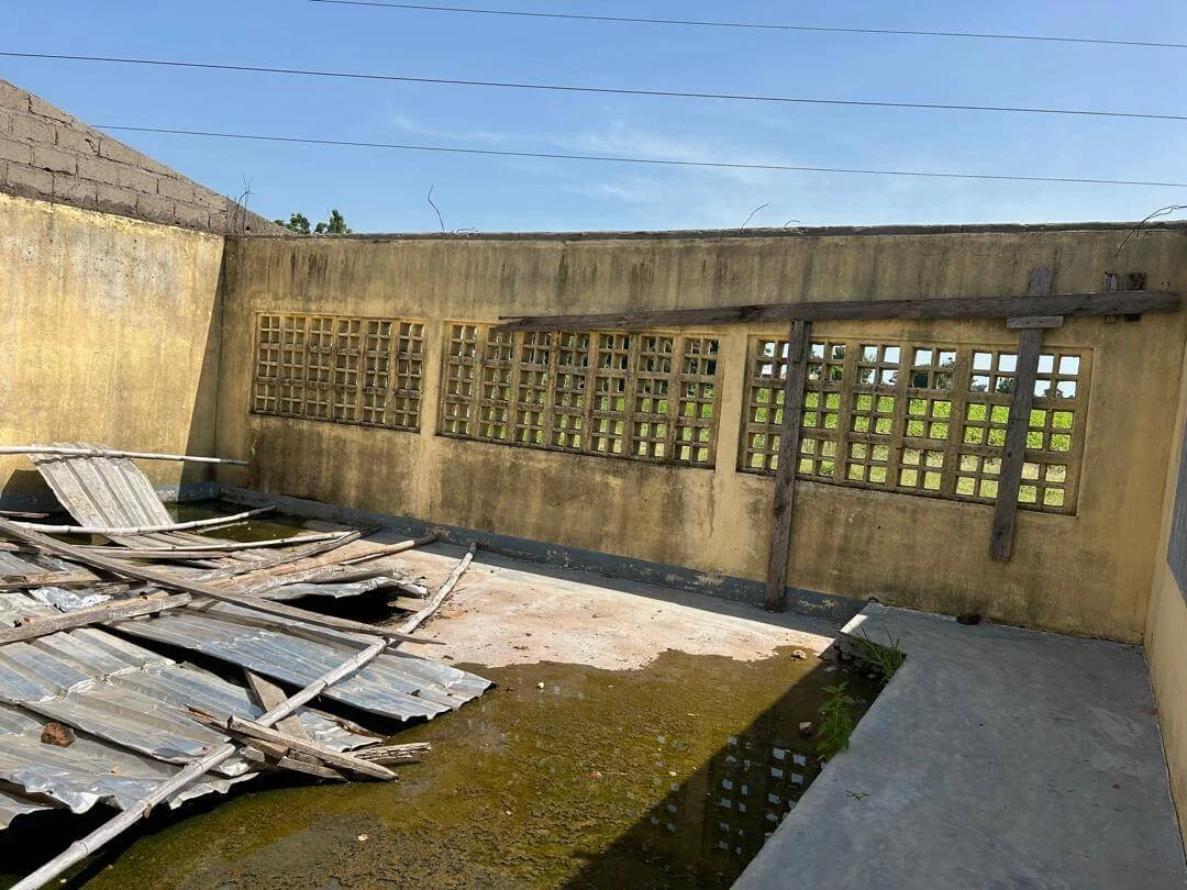 Weathered concrete courtyard with lattice windows, corrugated metal debris, and standing water