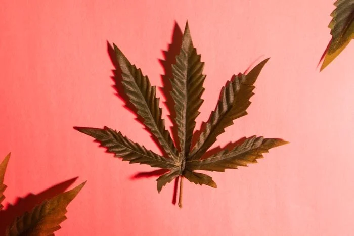 GreenMarketReport x ALT.jpeg