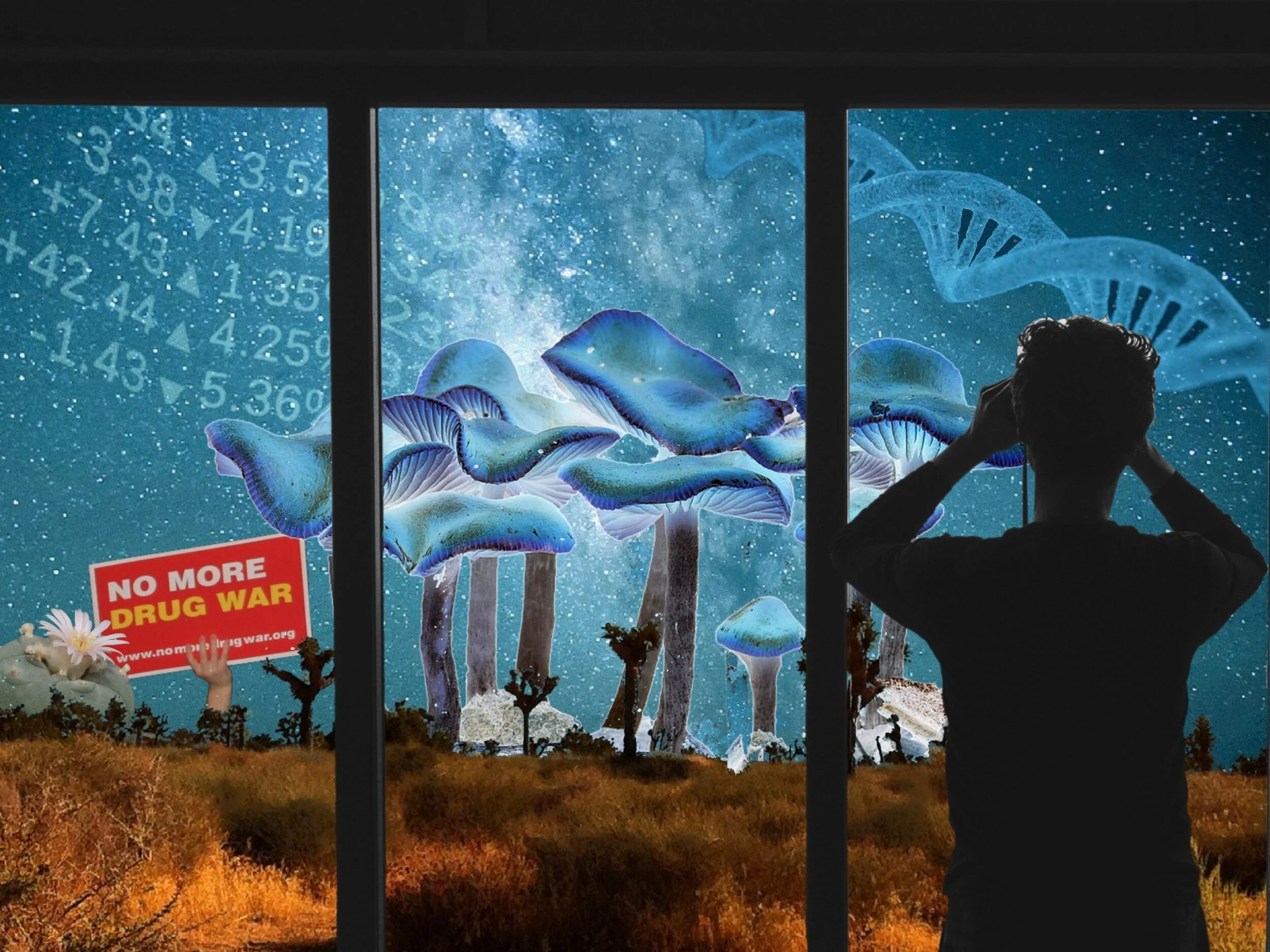 LUCID NEWS x TAP.jpeg