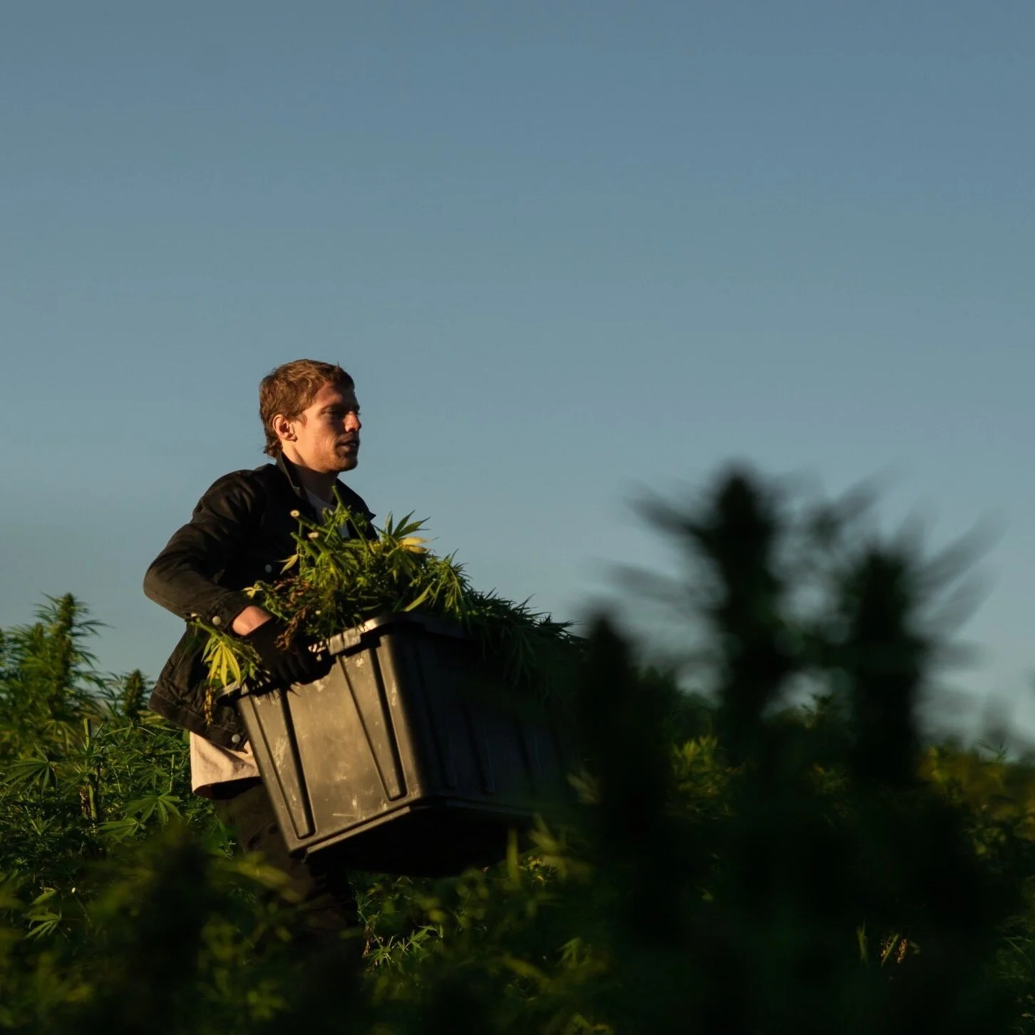 Harvest_2019_43.jpg