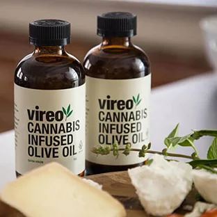 vireo.jpg
