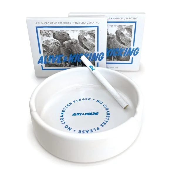 VICE x ALIVE &amp; KICKING