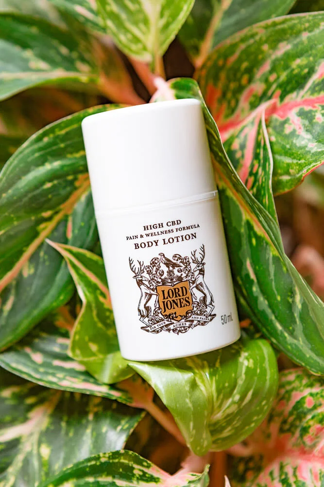 Into The Gloss x Lord Jones