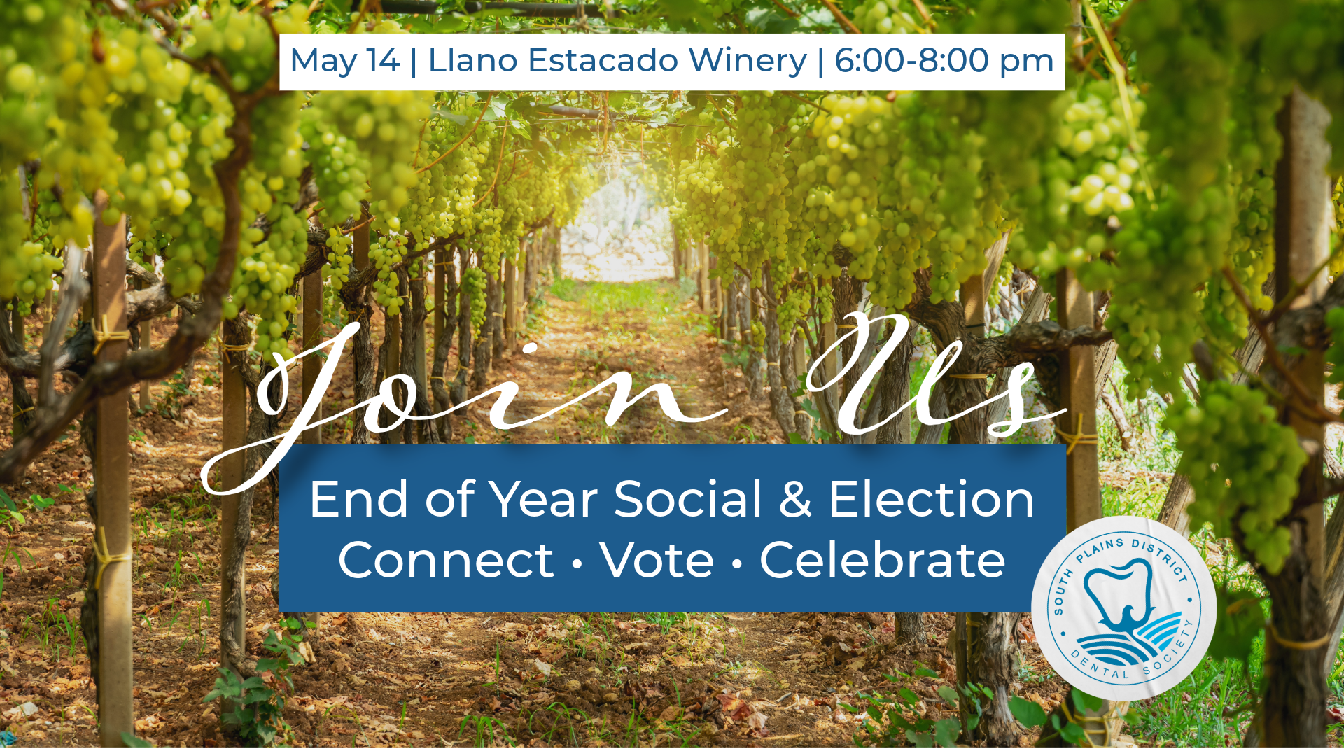 End of Year Social &amp; Elections