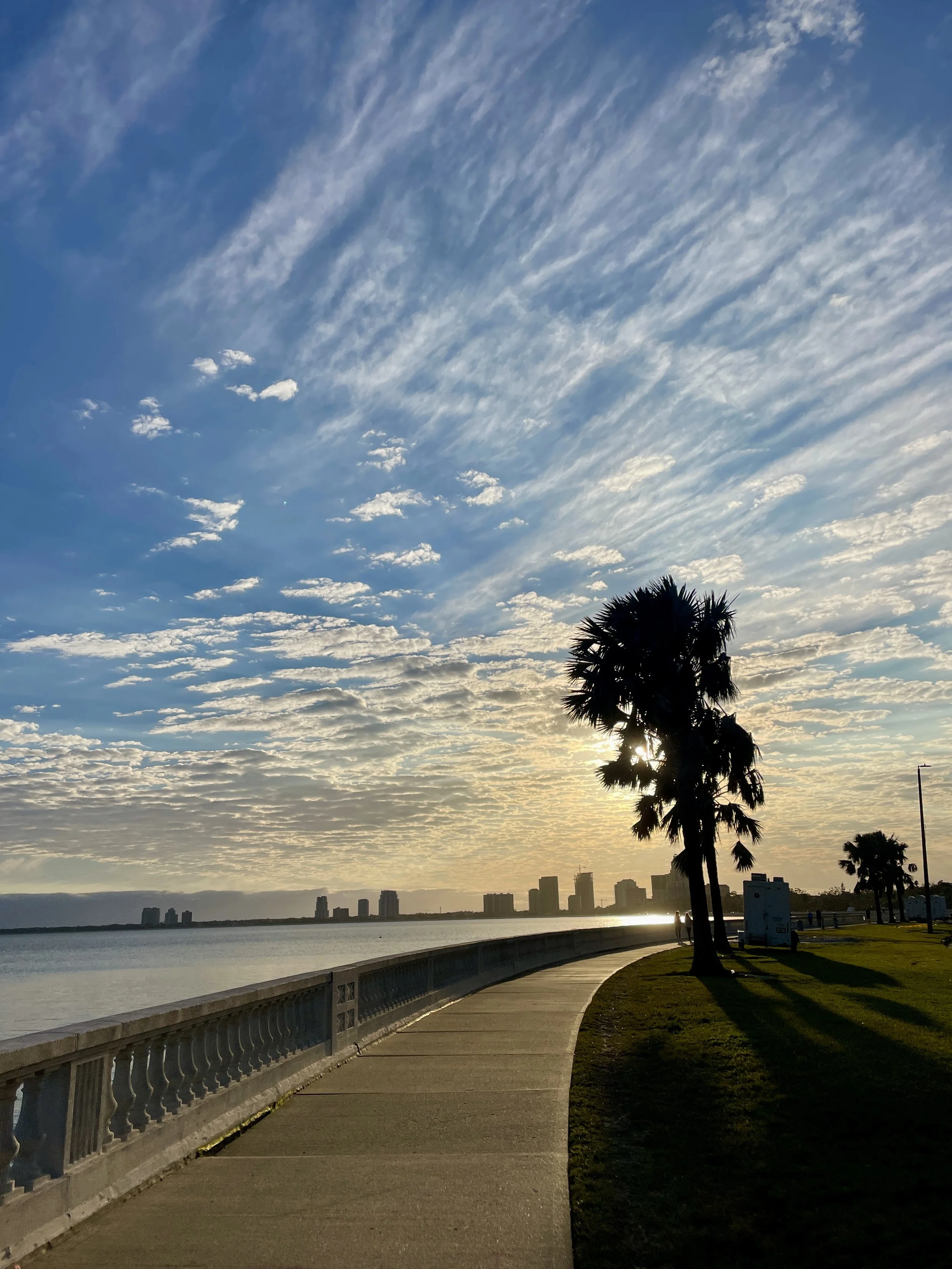 my story photo 8.jpeg