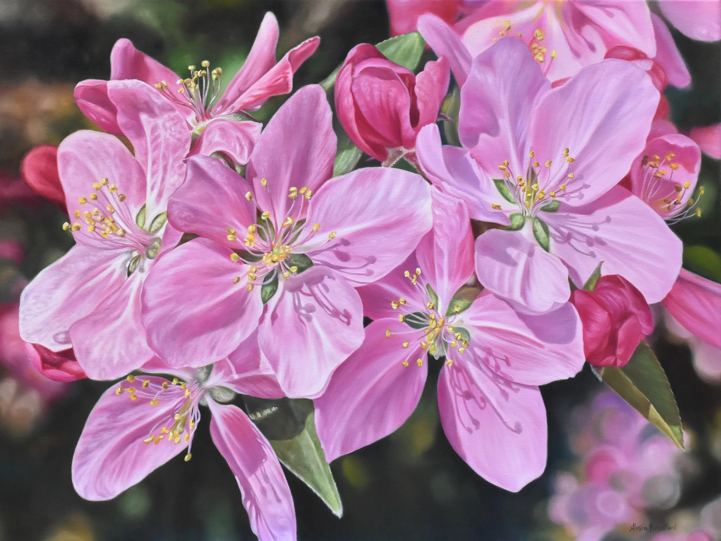 In Bloom.jpg