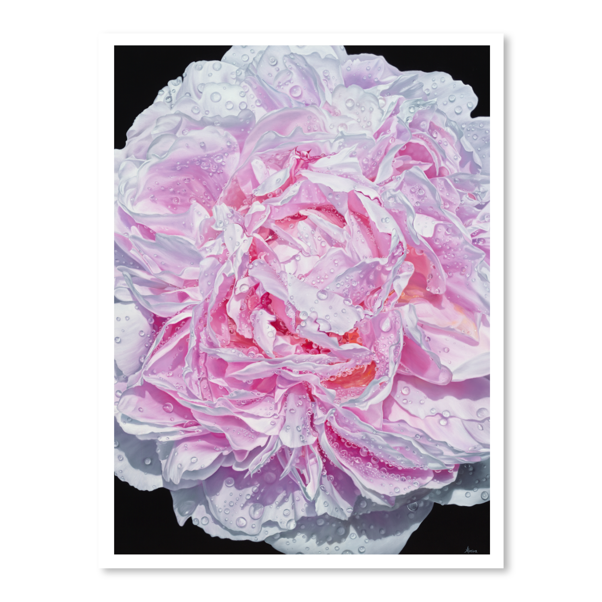 Untitled design (16).png