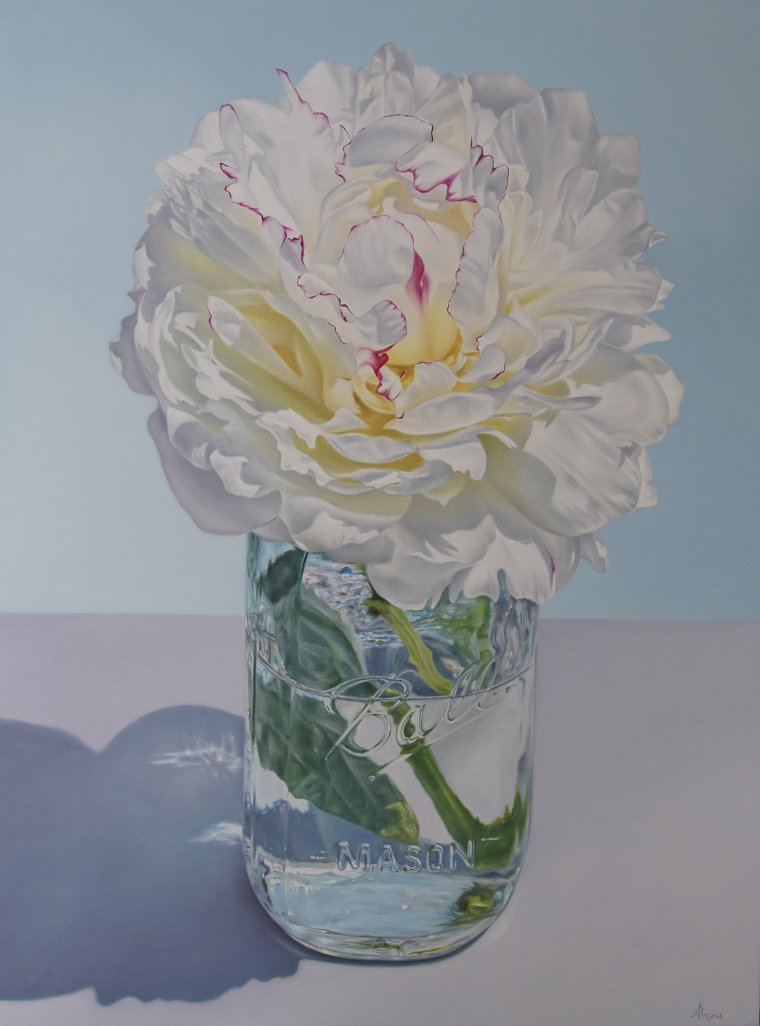 From the Garden