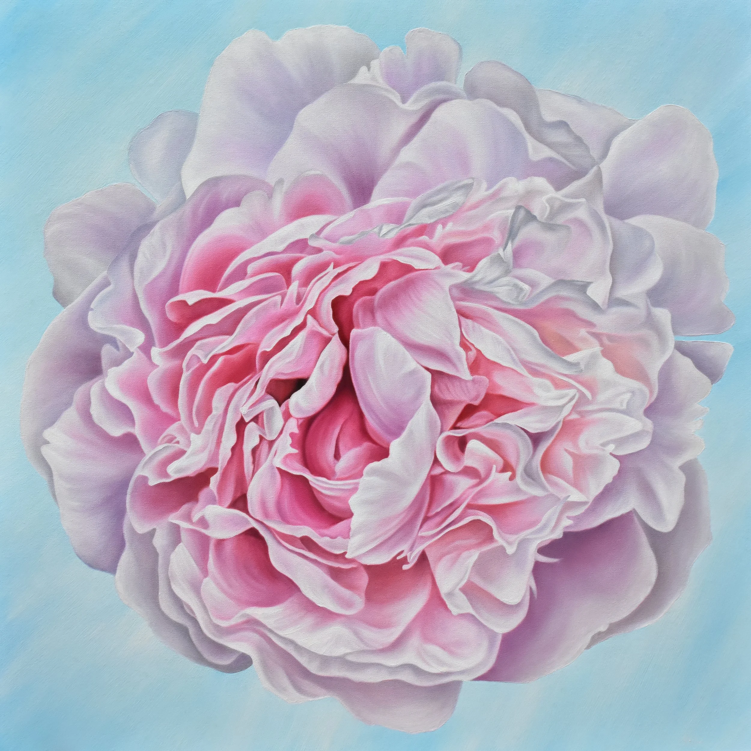Peony Portrait .jpg