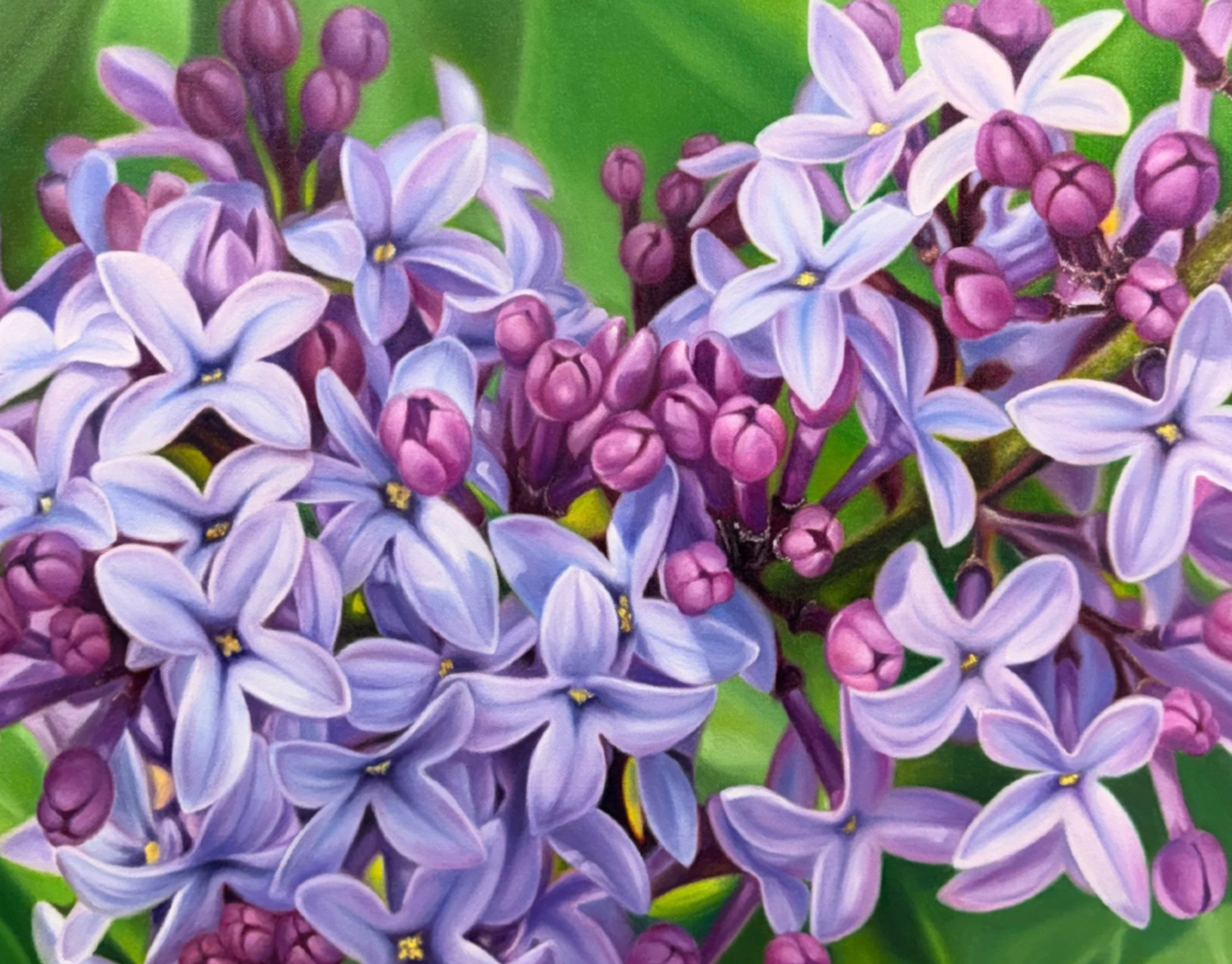 IMG_0327.png