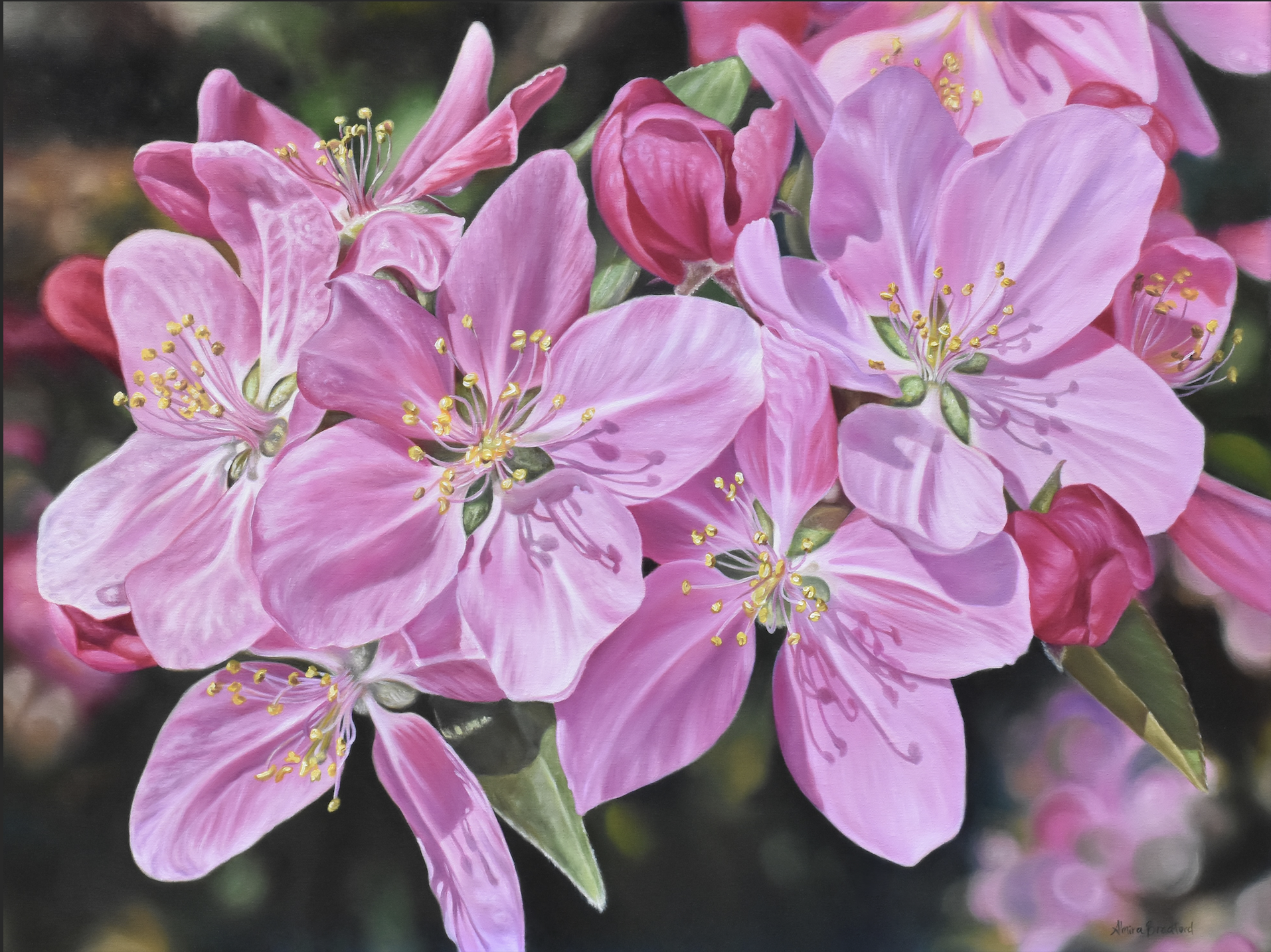 In Bloom