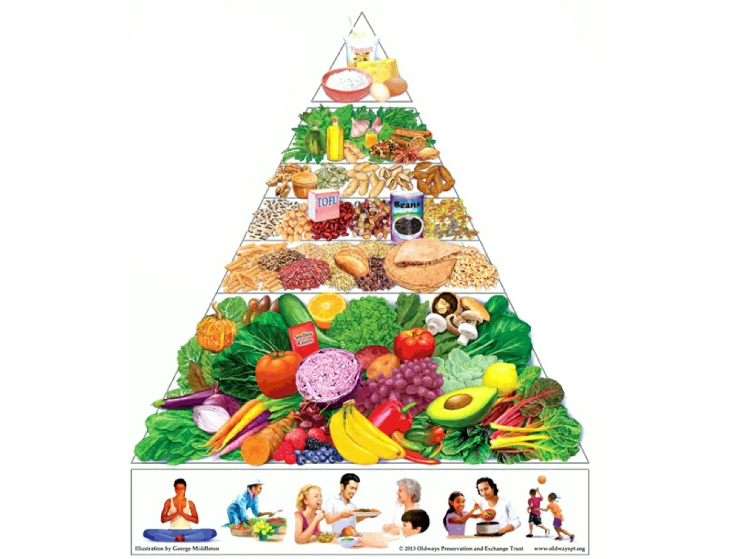 Why Vegans and Vegetarians Should Seek Plant-Based Health Professionals