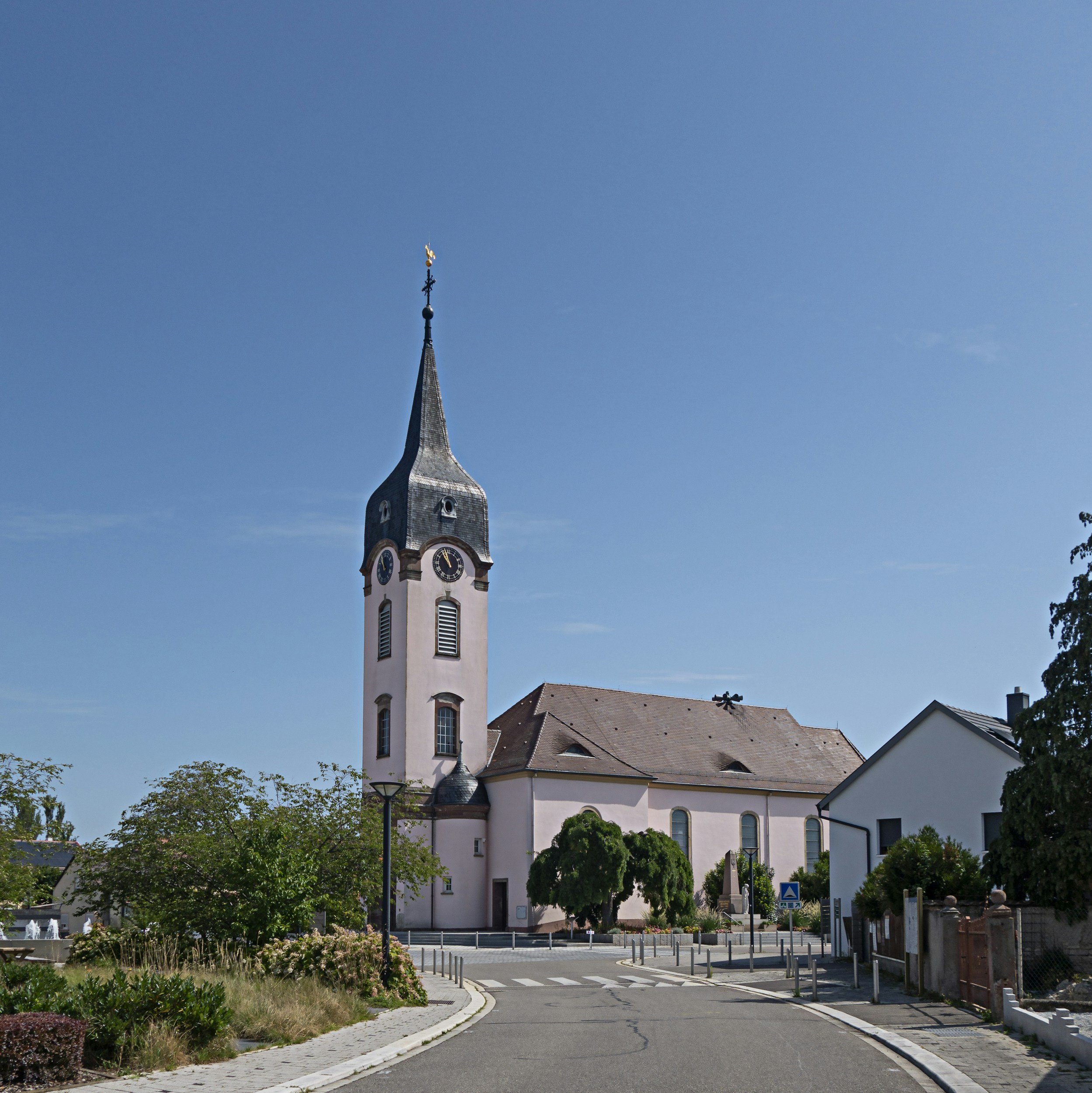 Who is the best Vegan Naturopath in Morningside &amp; Marchmont?