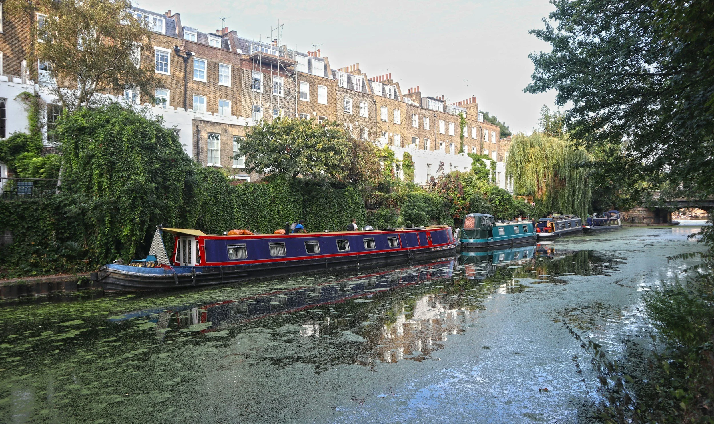 Who is the best Vegan Naturopath in Islington?