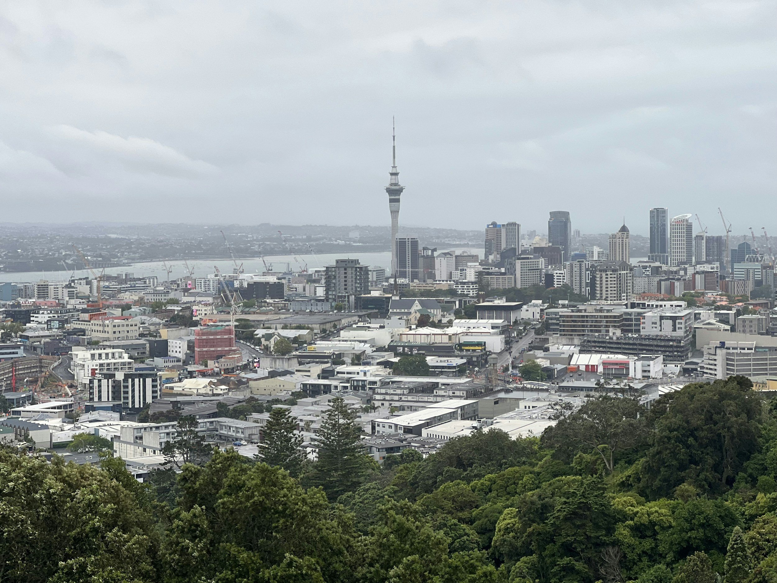 Who is the best Vegan Naturopath in Takapuna?