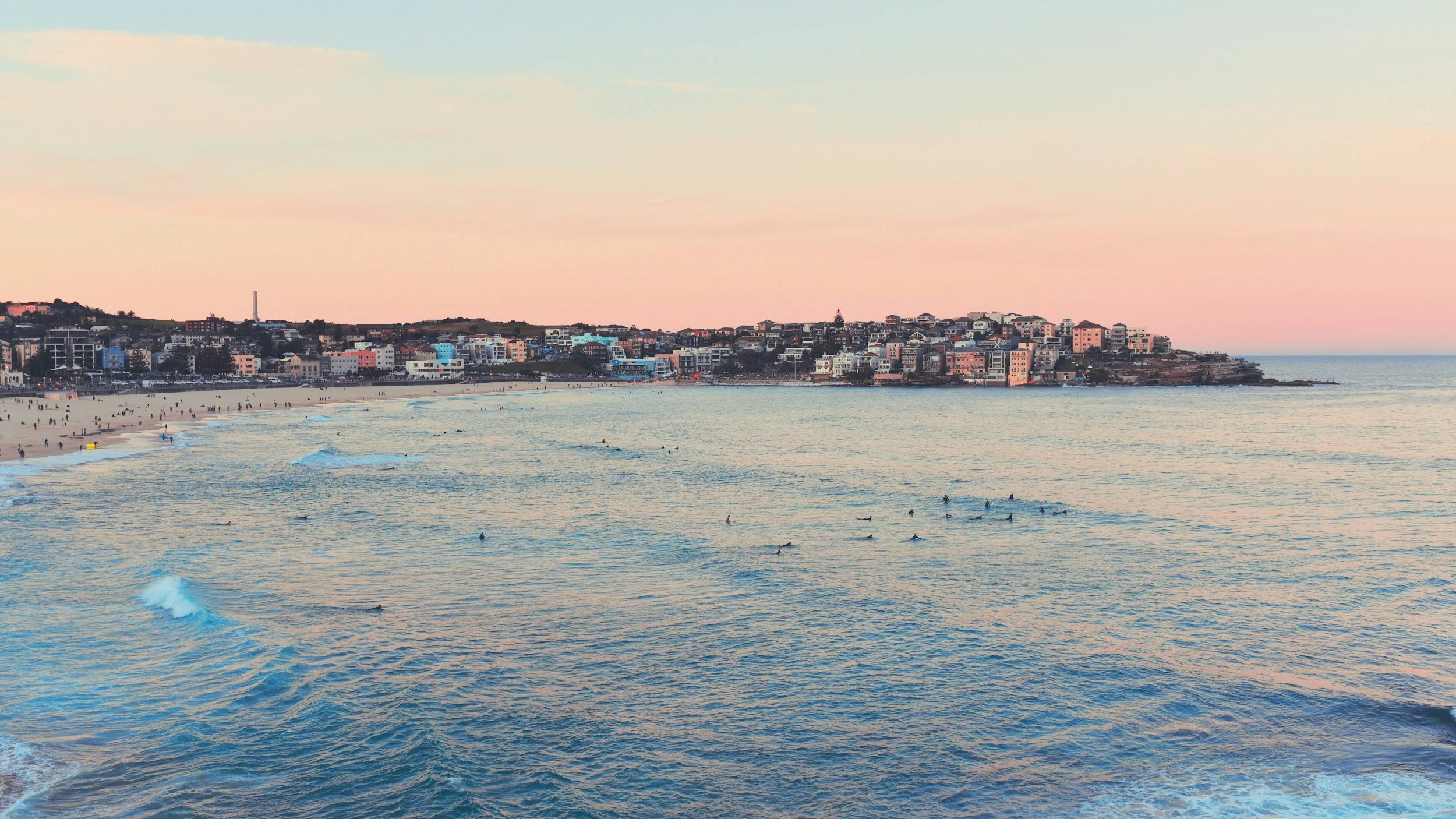 Who is the Best Vegan Nutritionist in Bondi &amp; Sydney's Eastern Suburbs?  