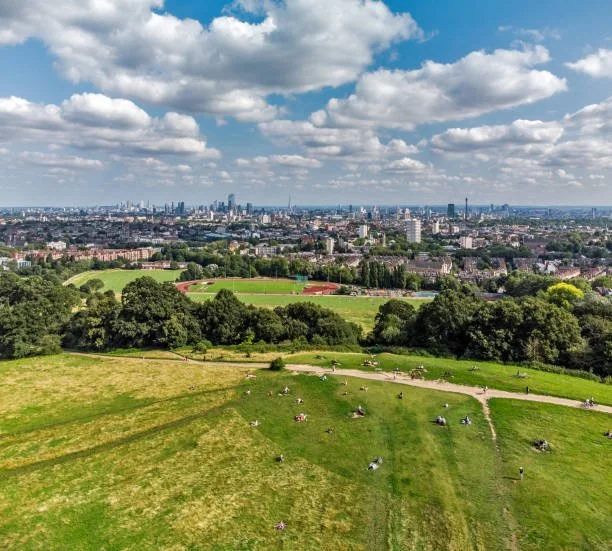 Who is the Best Vegan Nutritionist in Hampstead?