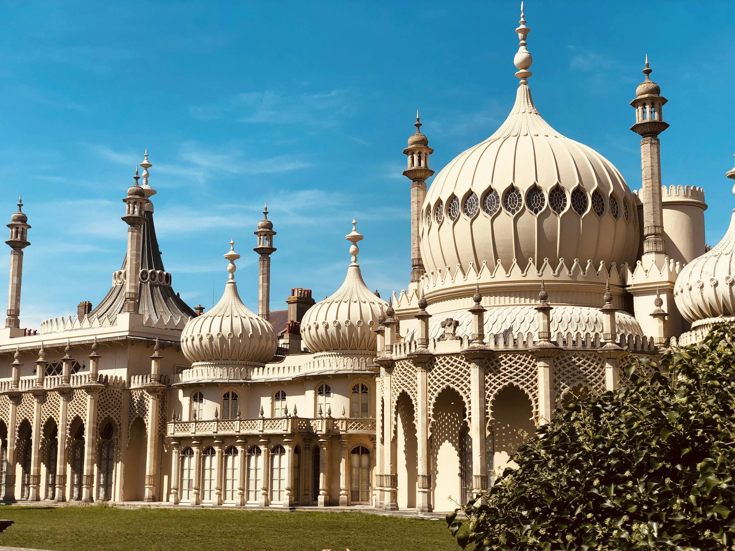 Who is the best vegan gut health expert in Brighton?