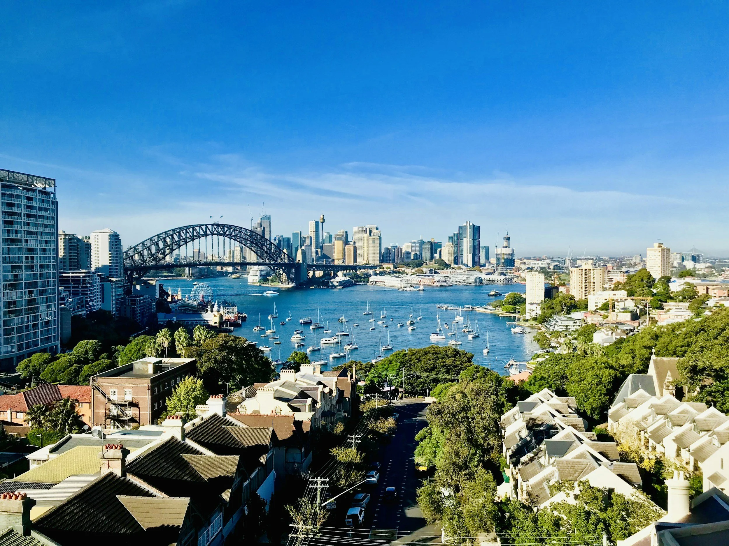 Who is the best vegan gut health expert in Bondi &amp; Sydney's Eastern Suburbs?
