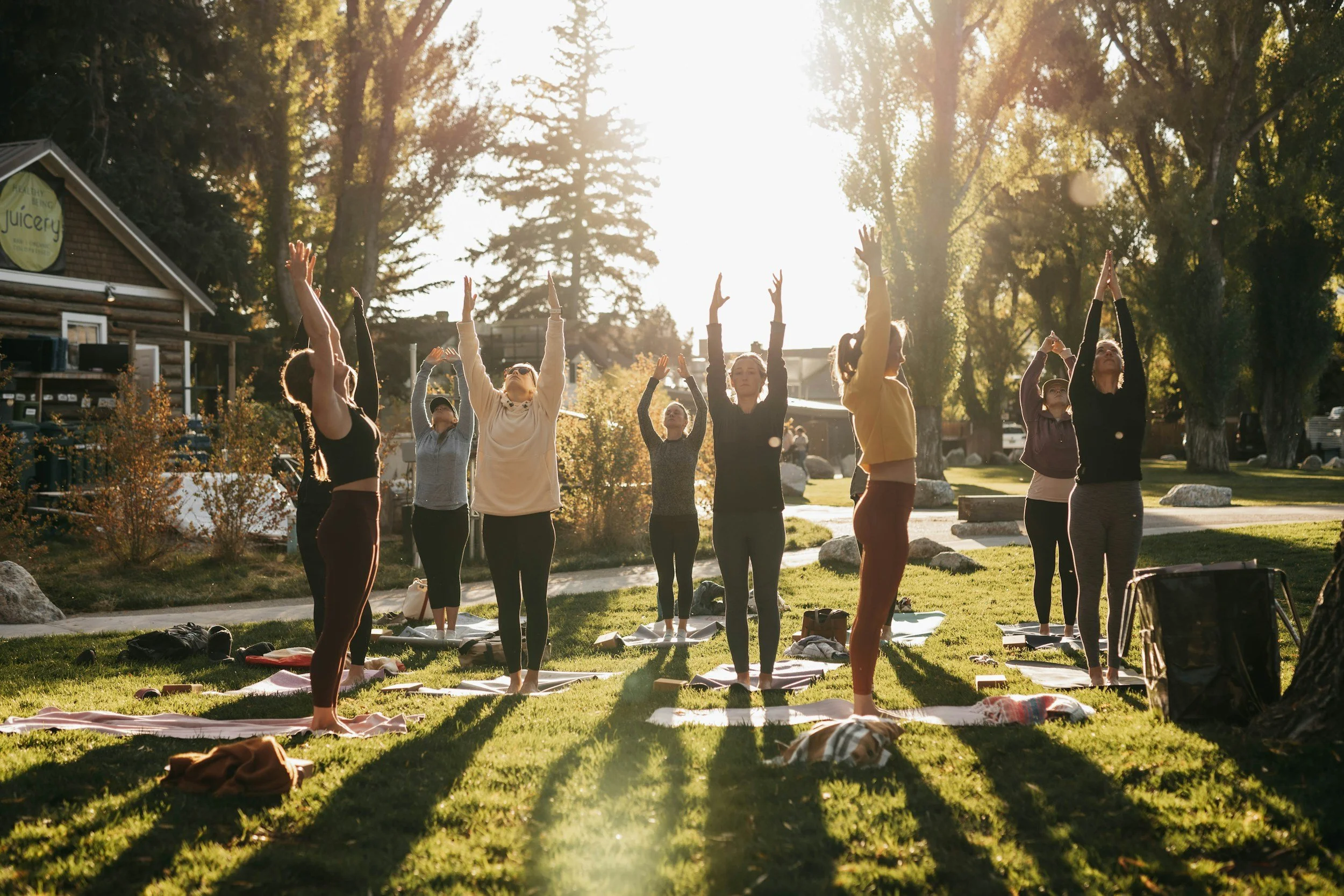 When the Body Holds the Story: How Rapid Core Healing Can Support Holistic Health