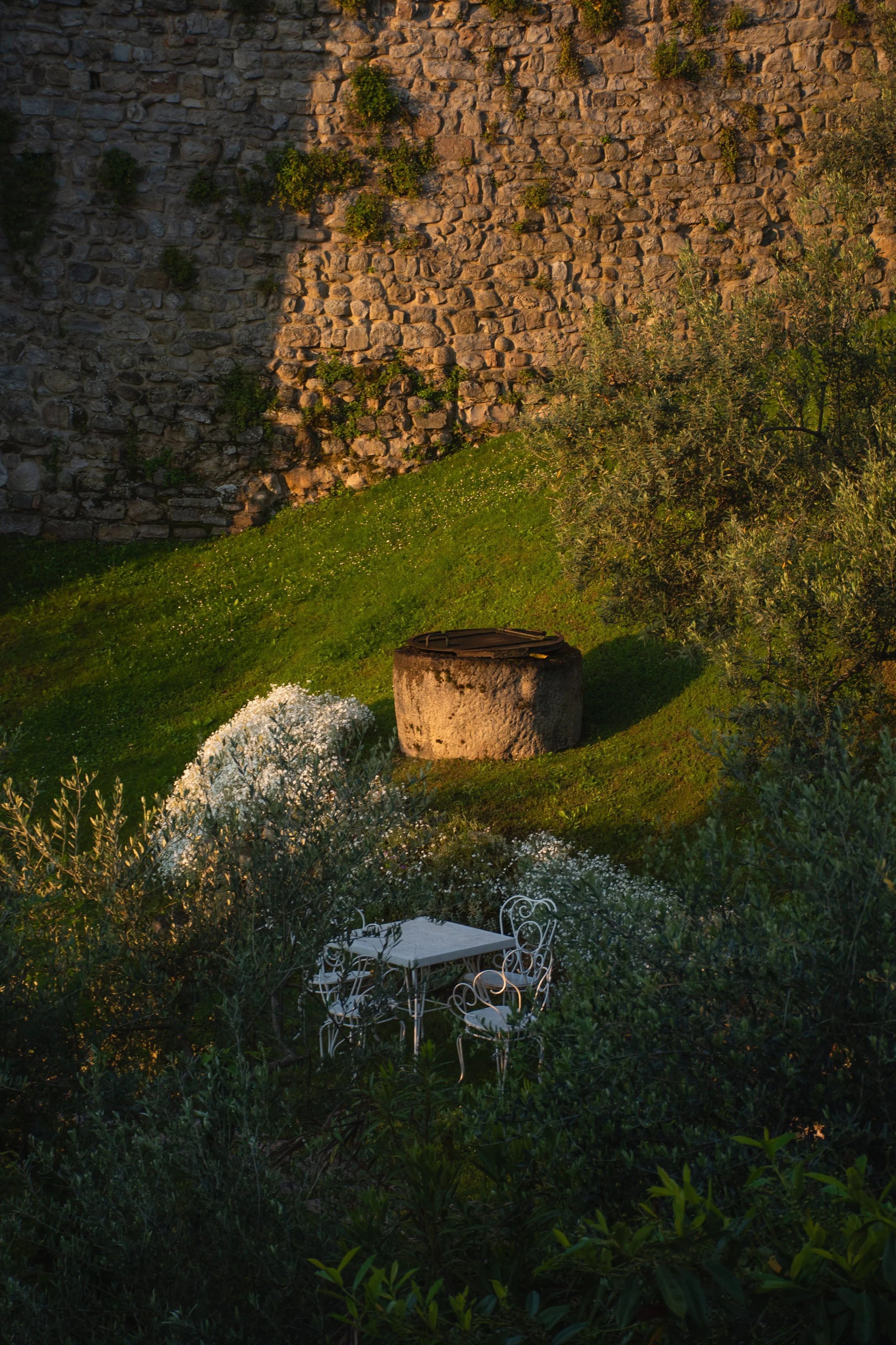 DSC_5377.jpg
