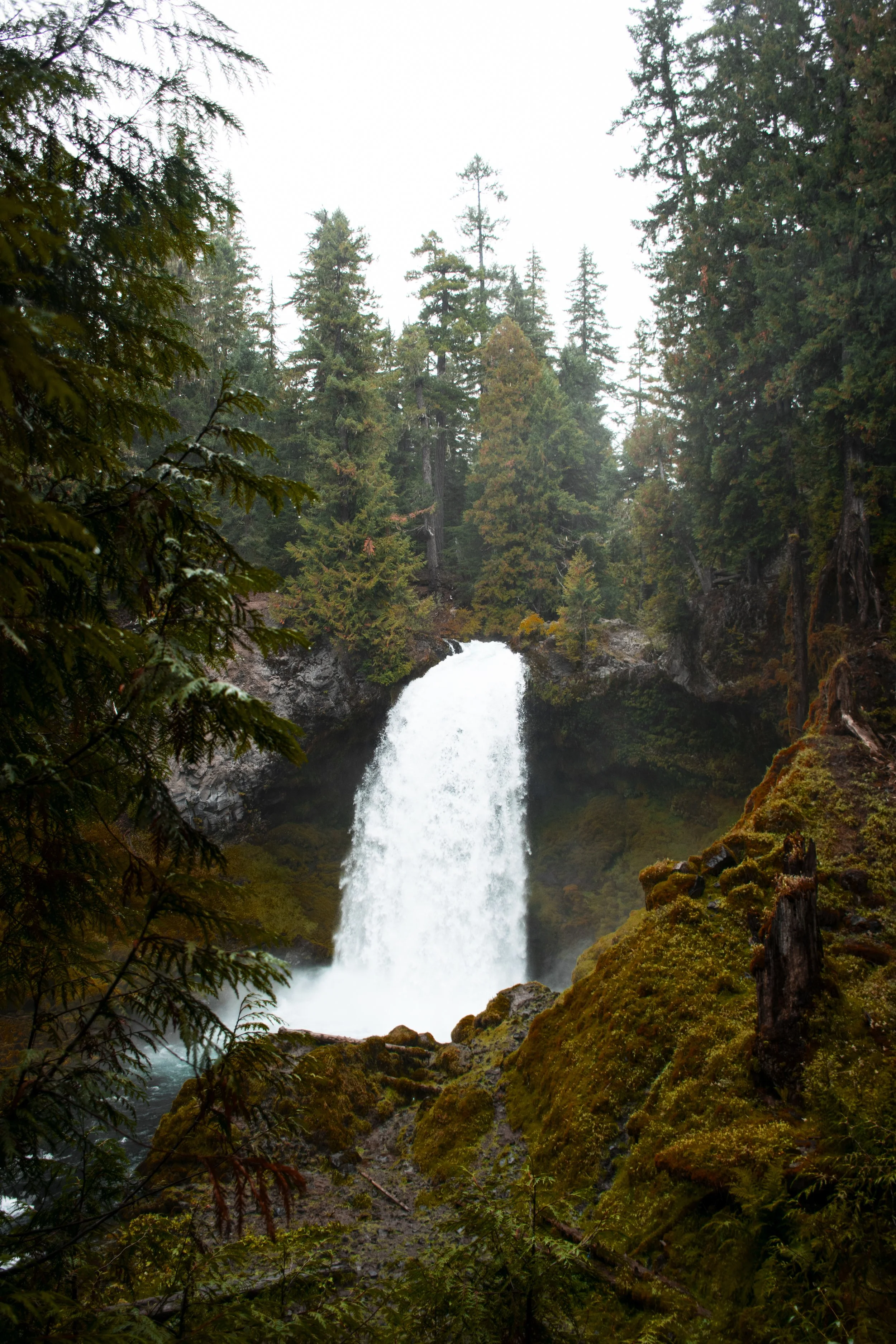 sahalie 3.jpg