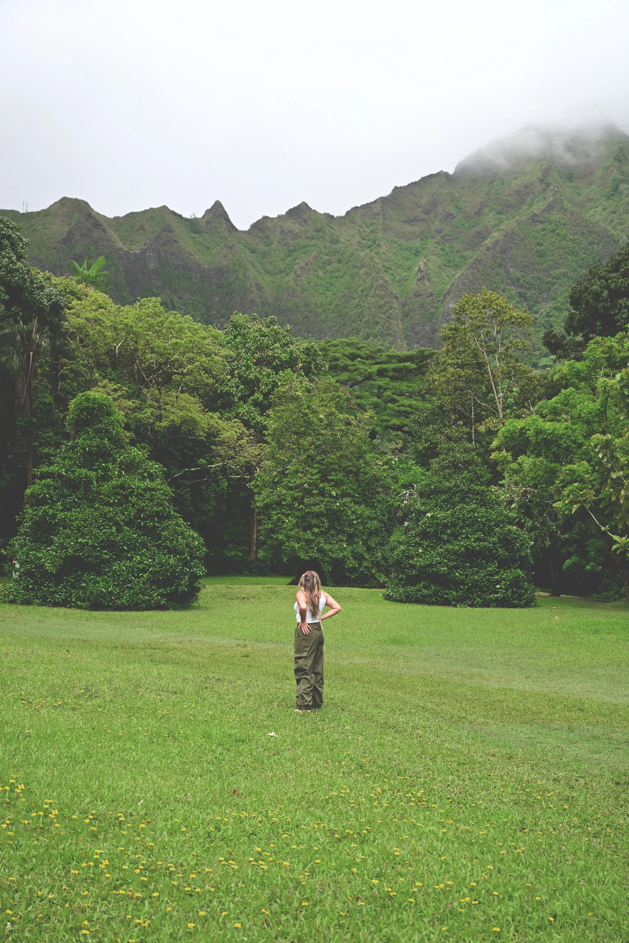 Hawaii Gardens_ 1.jpg