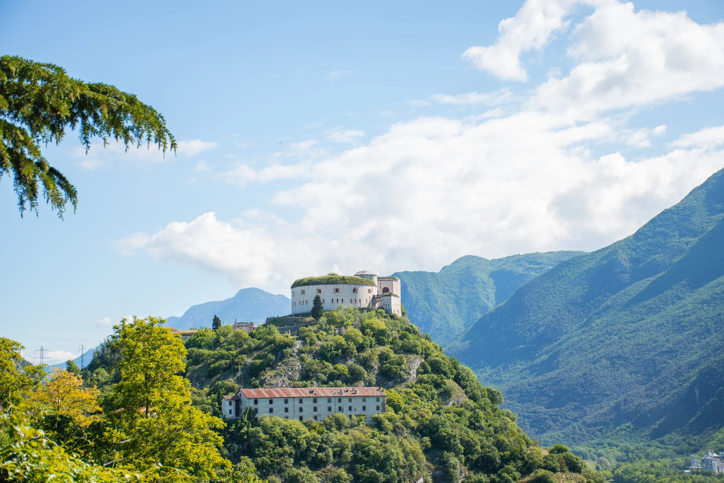 DSC_5893.jpg