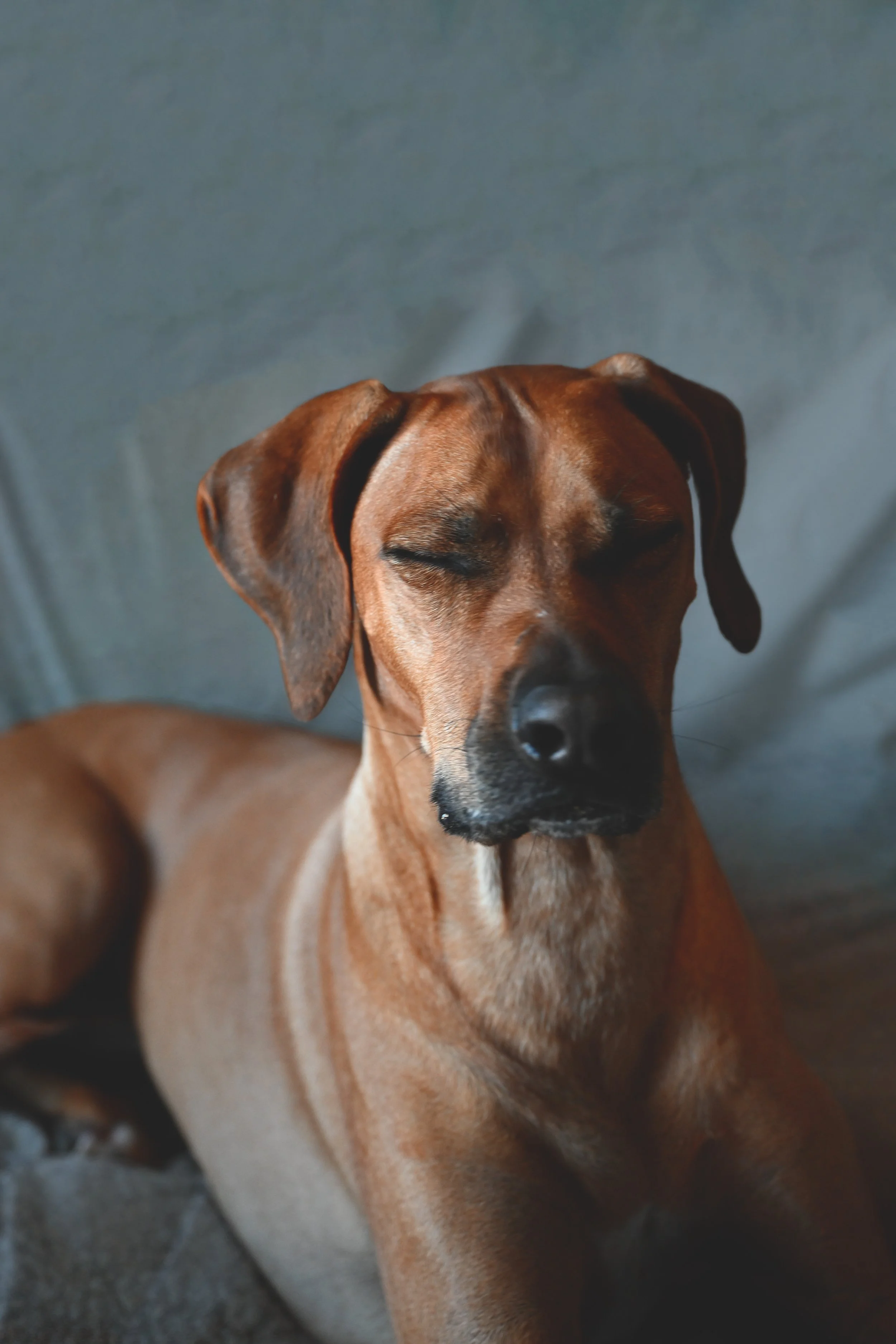 Whiskey 10.jpg