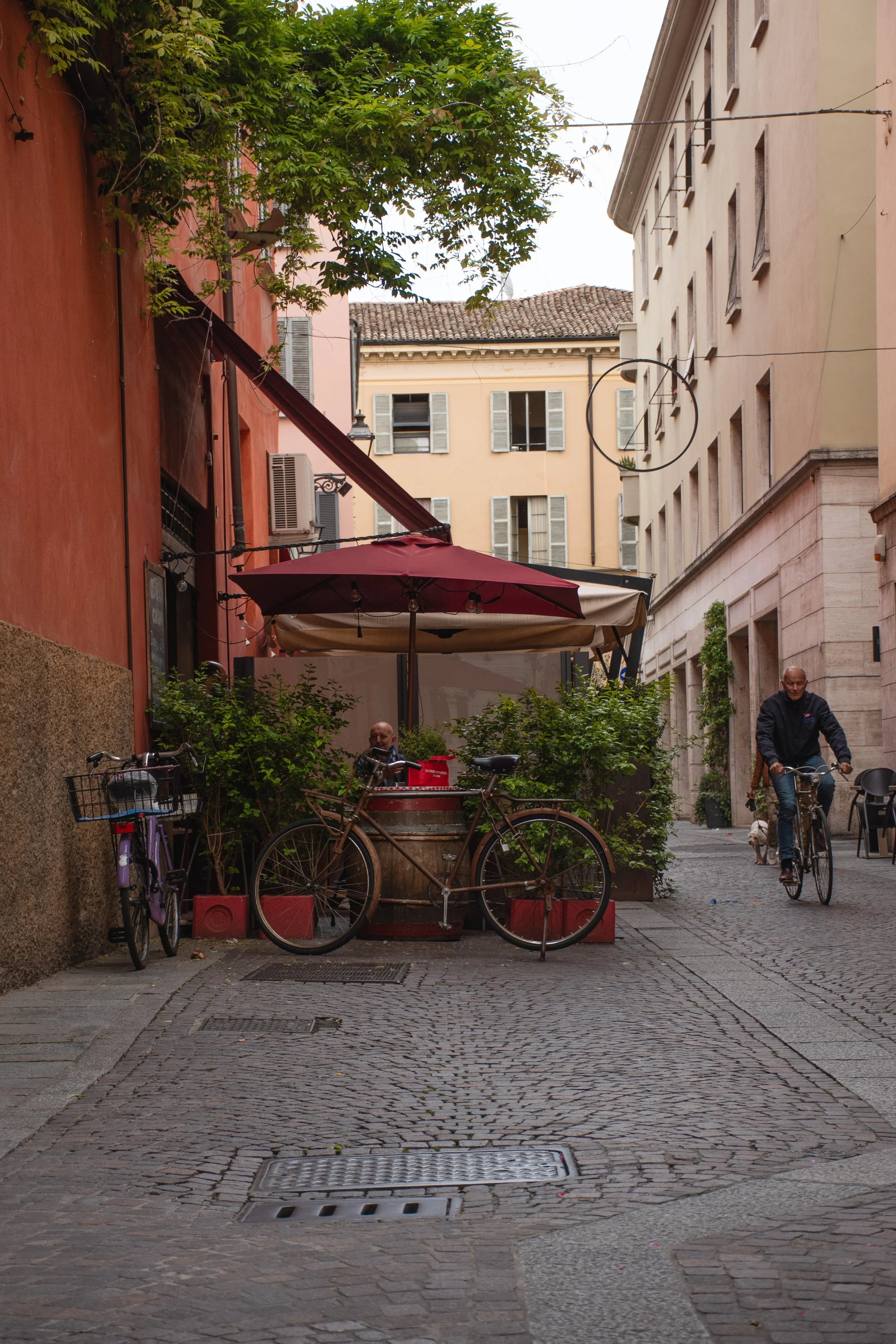DSC_4936.jpg