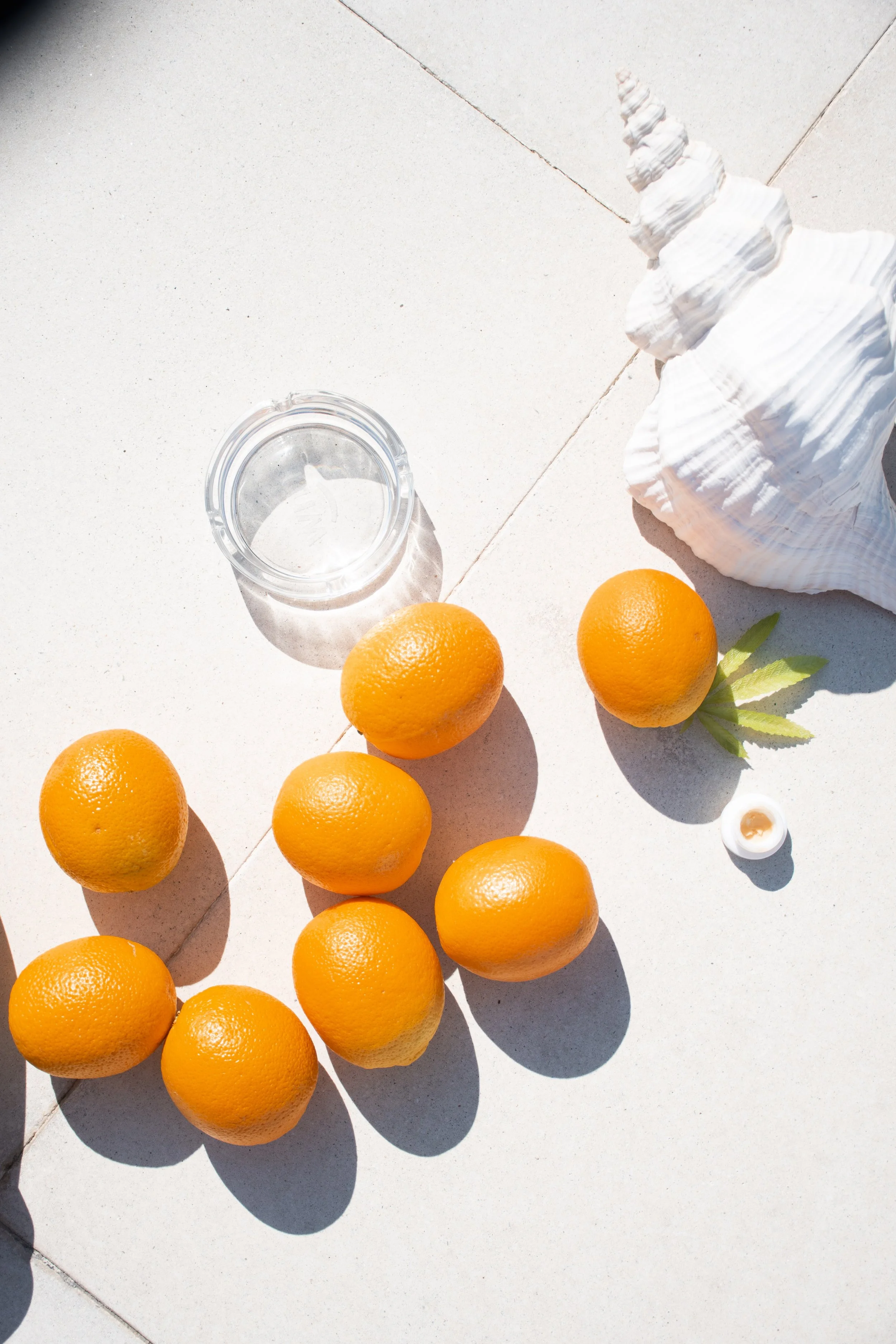 canna oranges.jpg